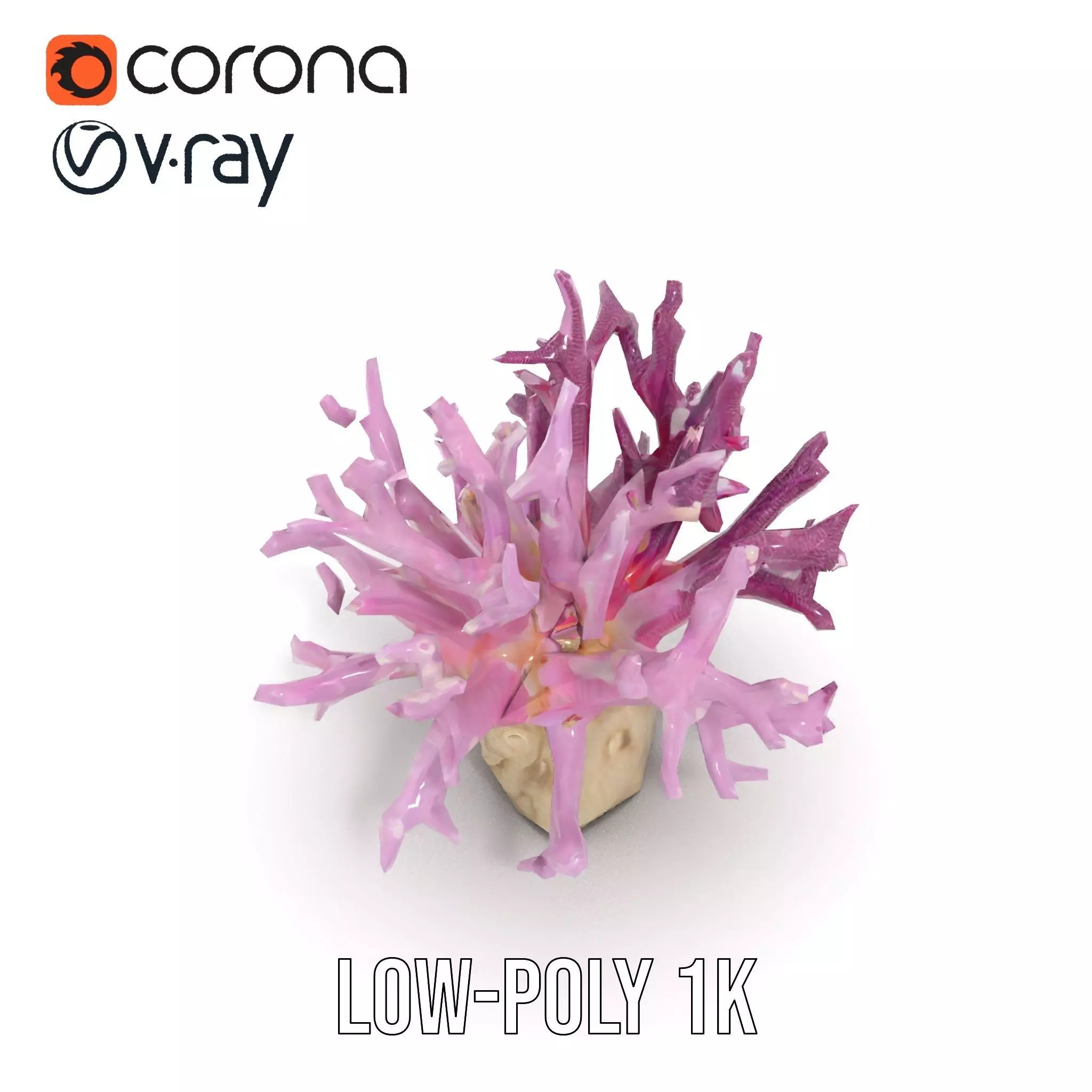 Vibrant Coral Reef model pack Low-poly 3D model_17
