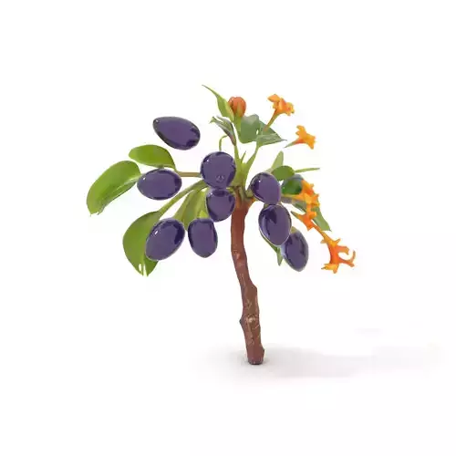 Purple Berry Plant model pack Low-poly 3D model