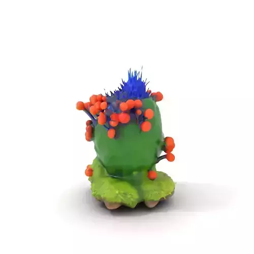 Vibrant Coral Reef model pack Low-poly 3D model