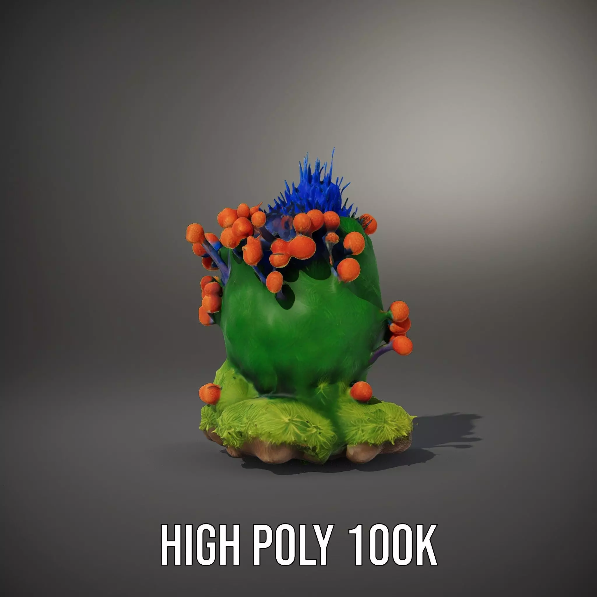 Vibrant Coral Reef model pack Low-poly 3D model_10