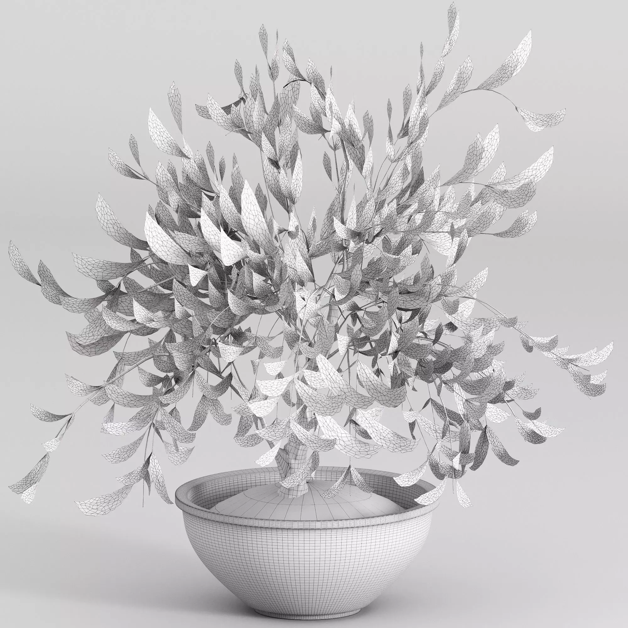 Potted olive houseplant 3D model_2