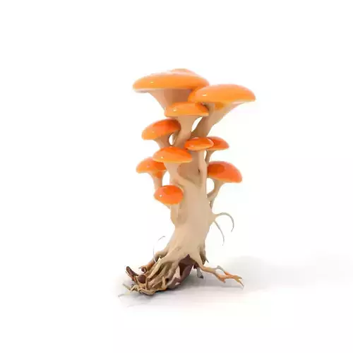 Vibrant Orange Mushroom model pack