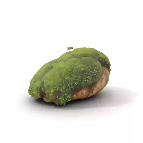 Lush Mossy Rock model pack Texture