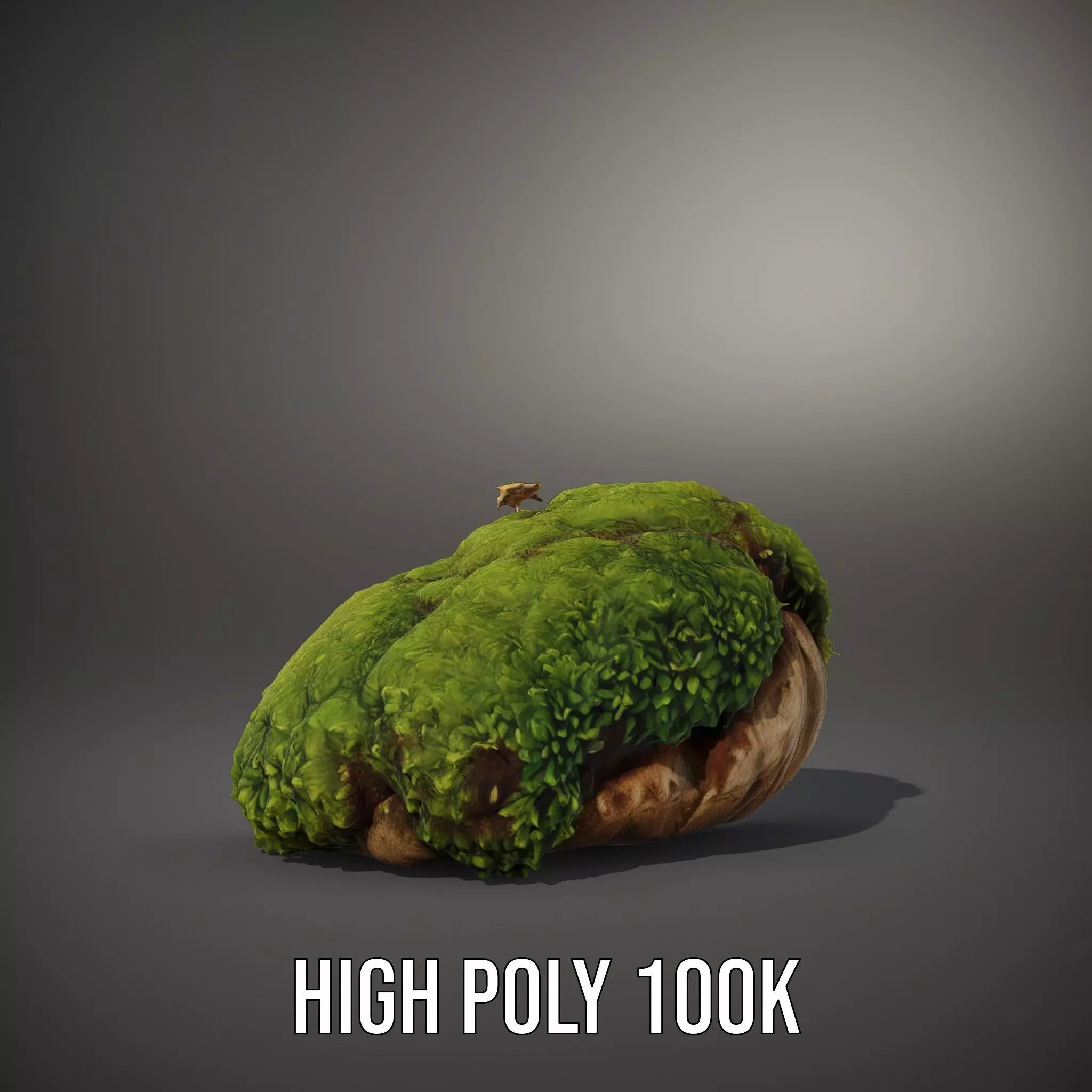 Lush Mossy Rock model pack Texture_8