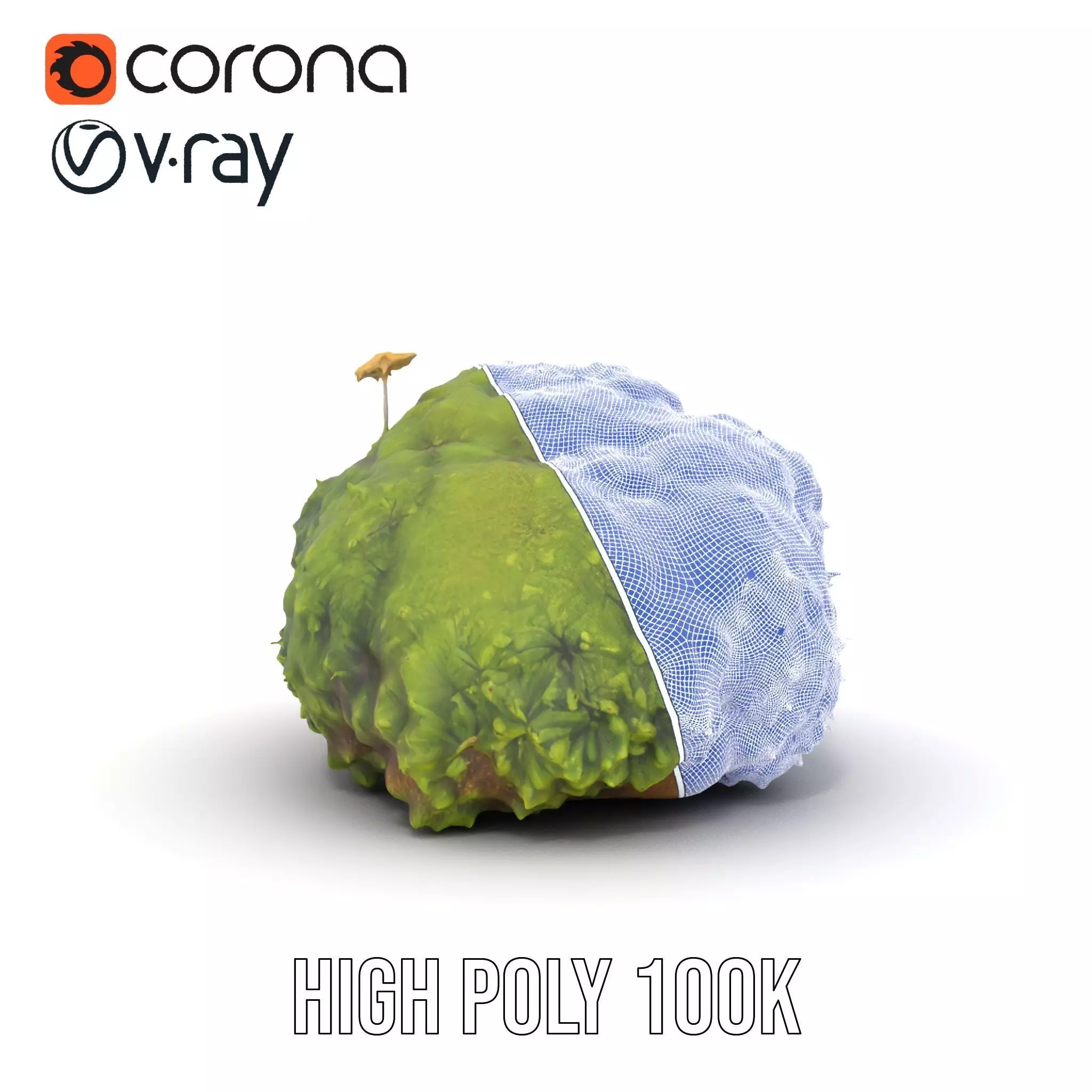 Lush Mossy Rock model pack Texture_34