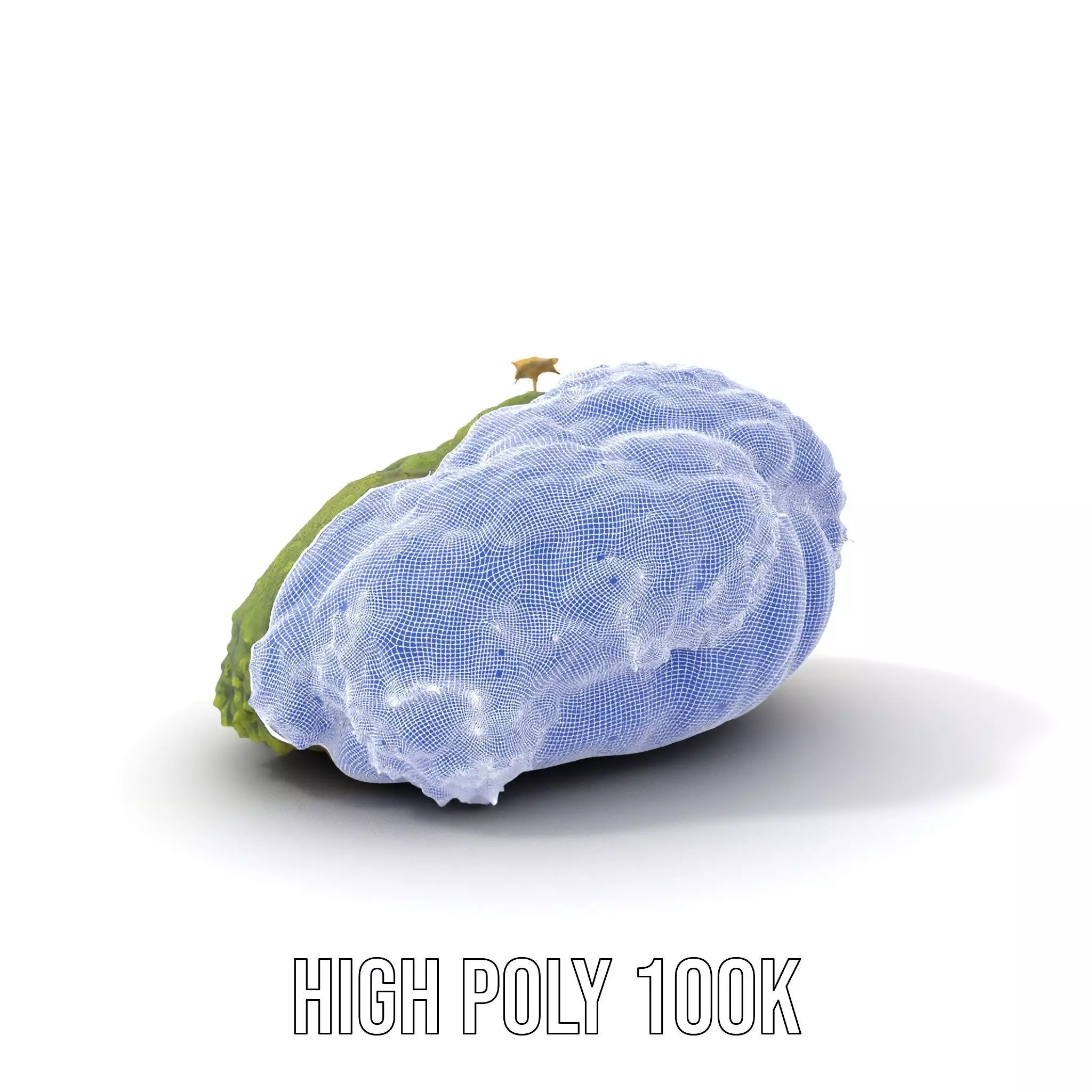 Lush Mossy Rock model pack Texture_4