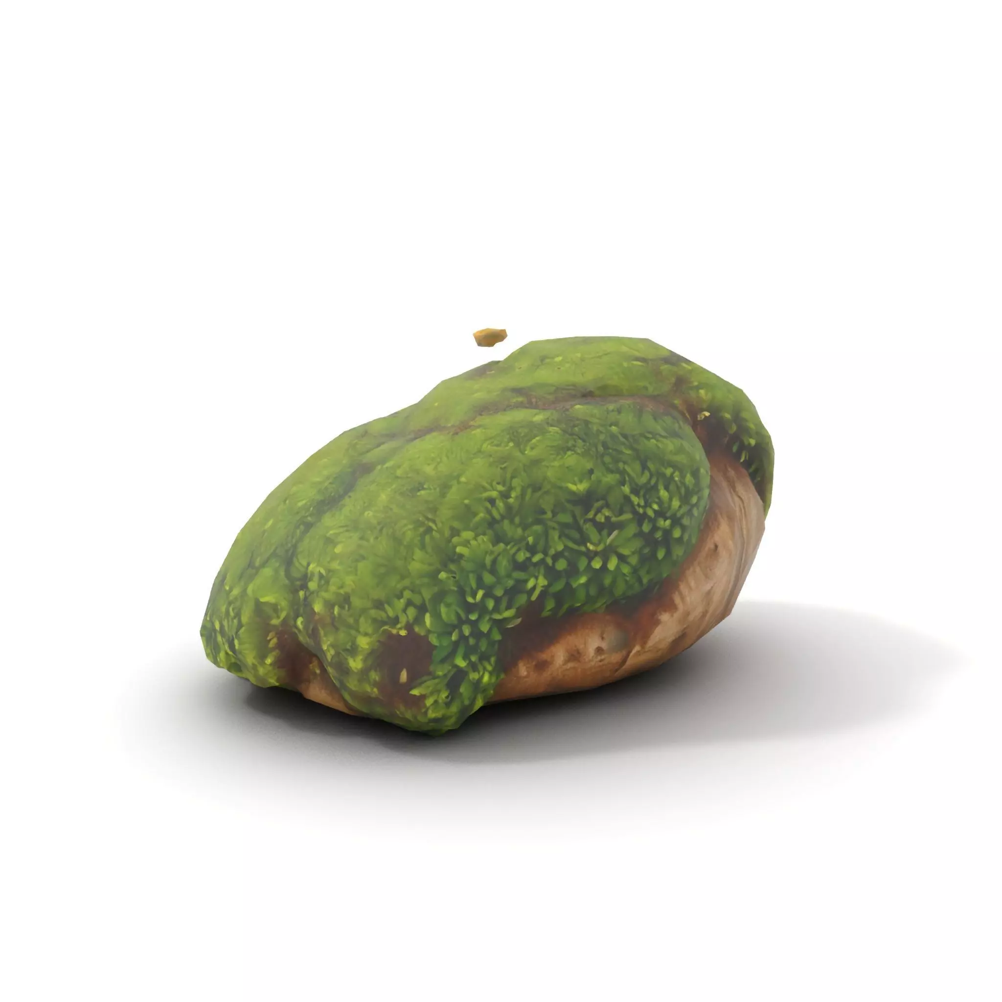 Lush Mossy Rock model pack Texture_7