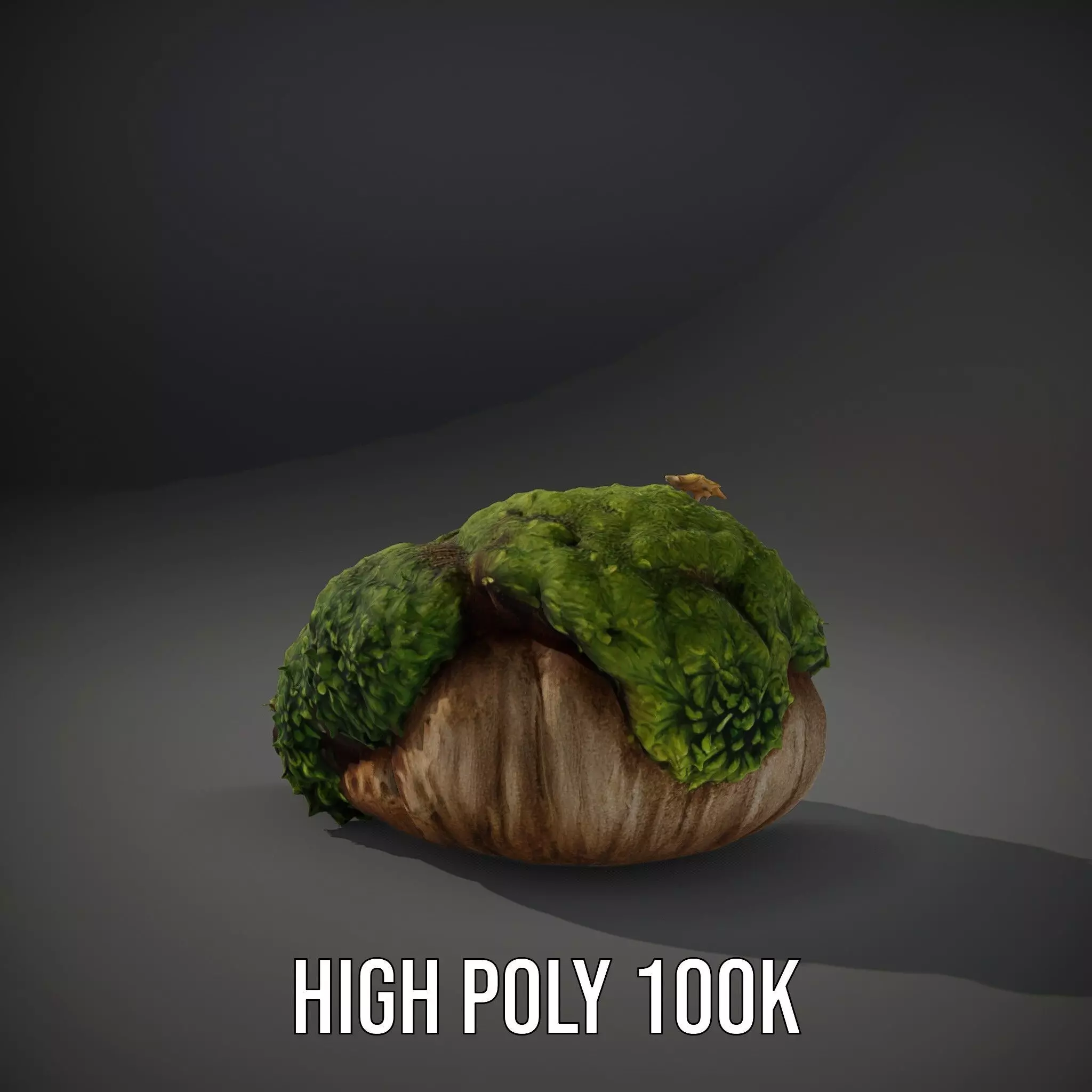 Lush Mossy Rock model pack Texture_12