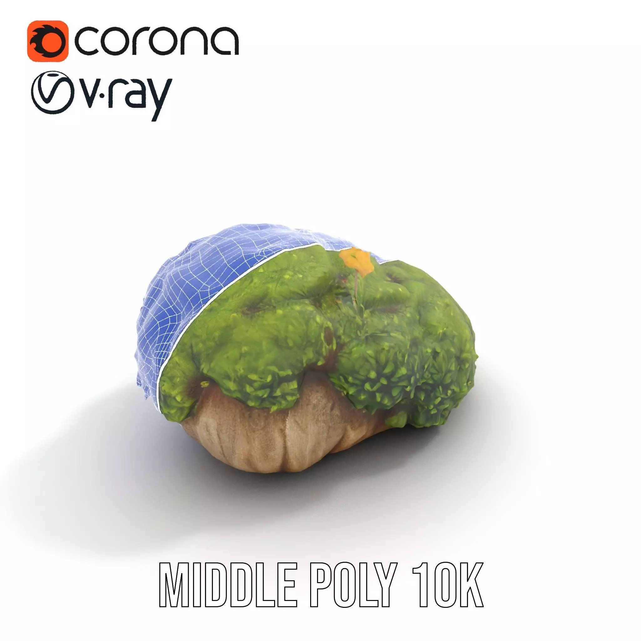 Lush Mossy Rock model pack Texture_18