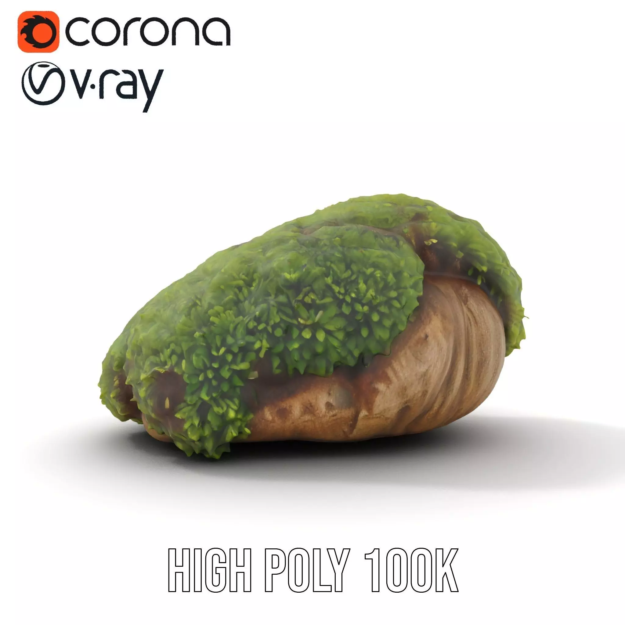 Lush Mossy Rock model pack Texture_15