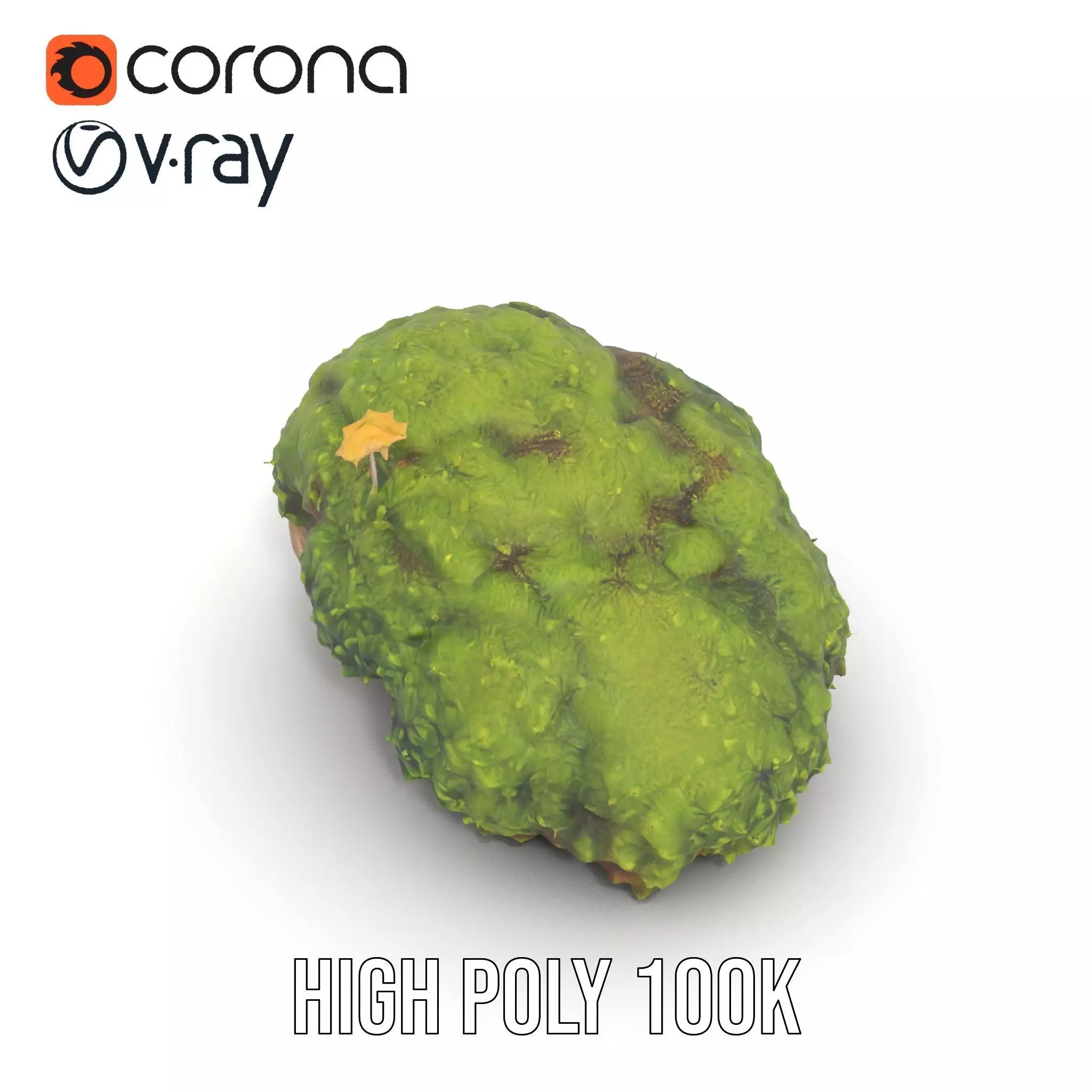 Lush Mossy Rock model pack Texture_28