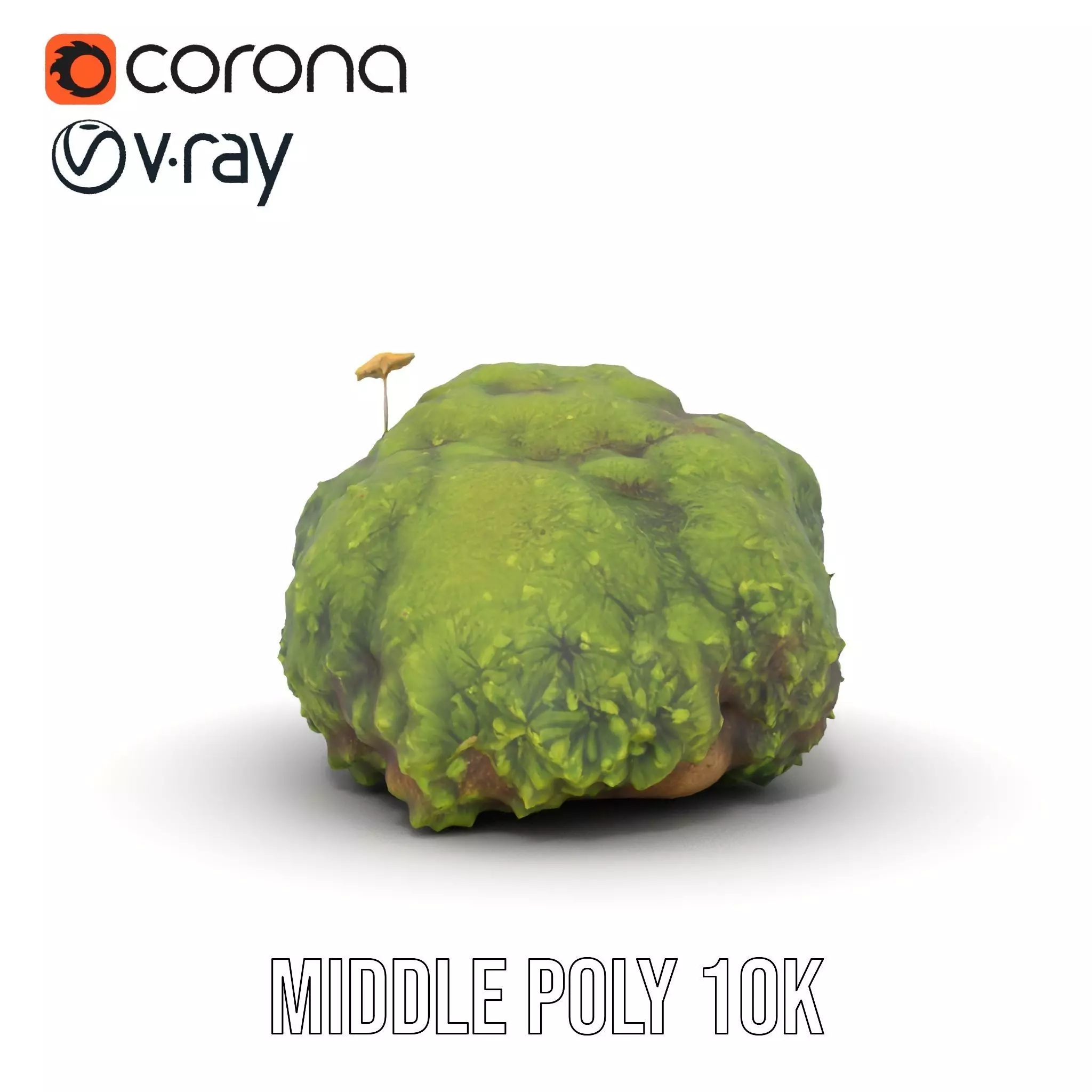 Lush Mossy Rock model pack Texture_5