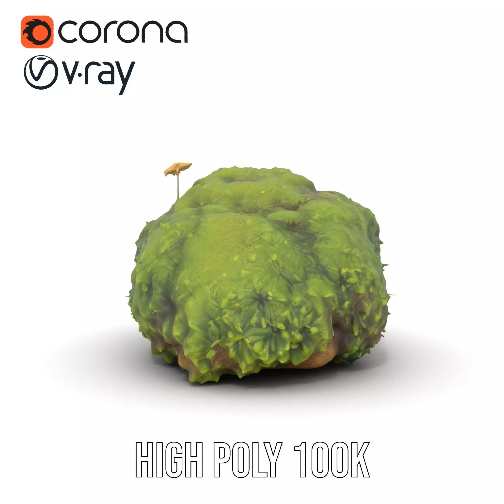 Lush Mossy Rock model pack Texture_20