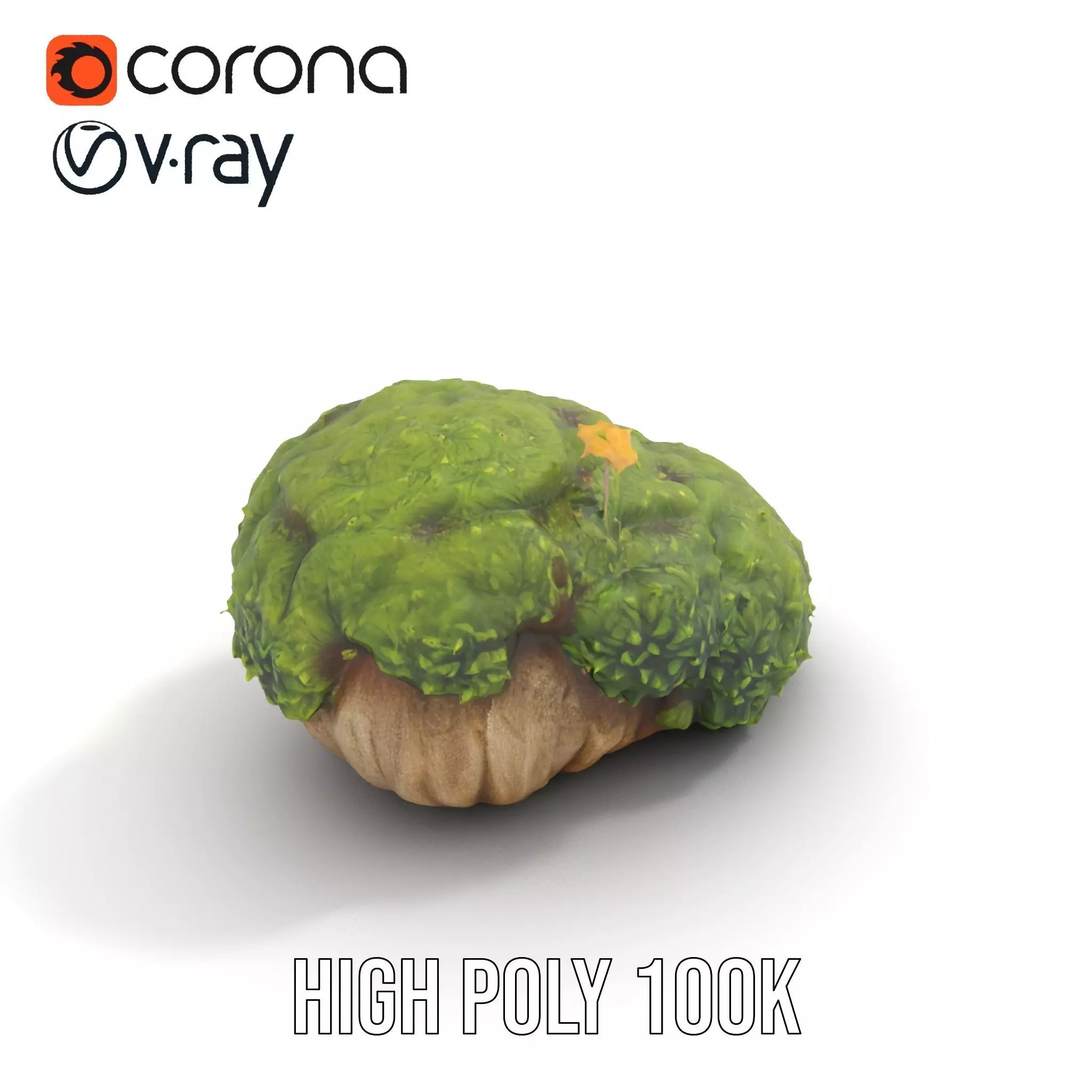 Lush Mossy Rock model pack Texture_31