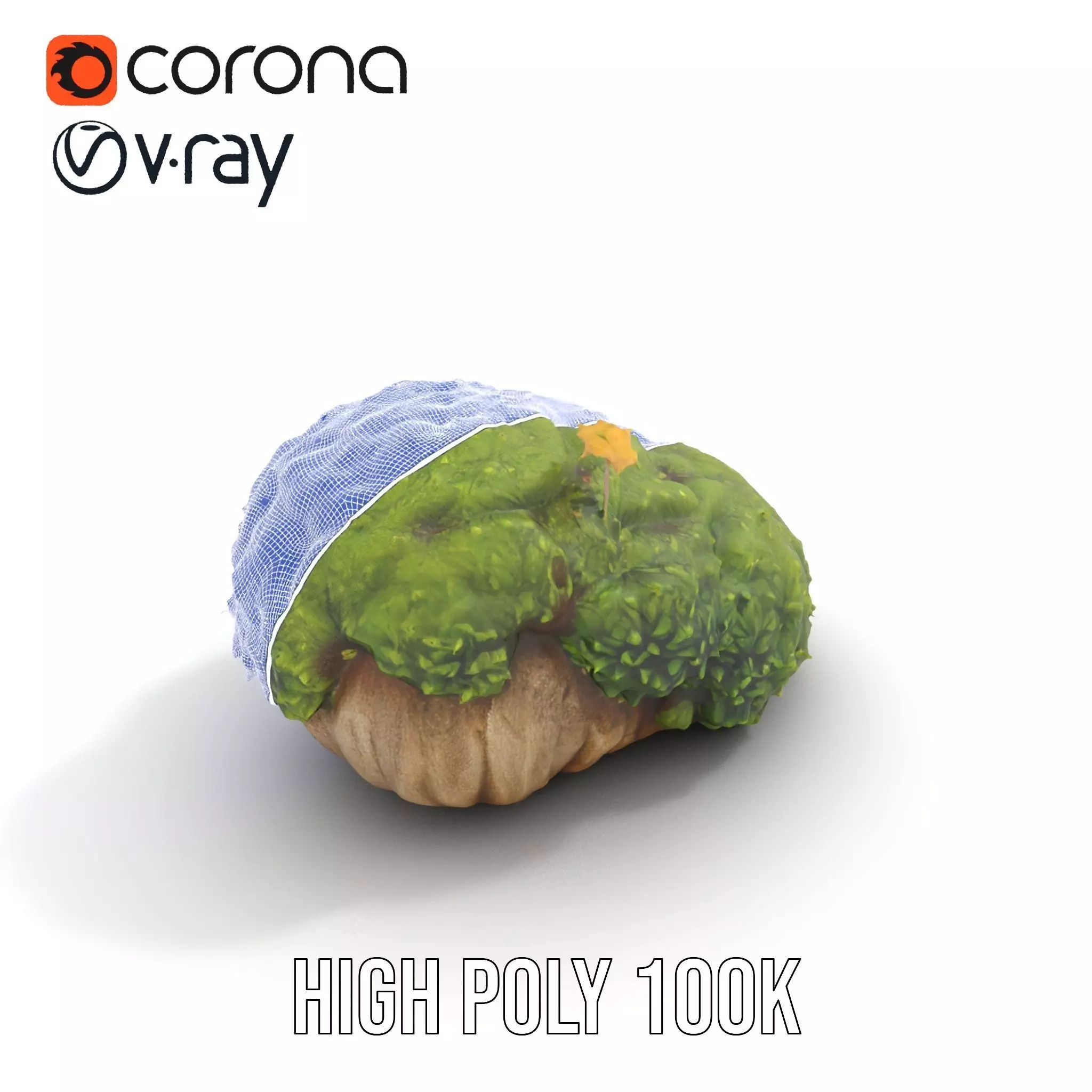 Lush Mossy Rock model pack Texture_25