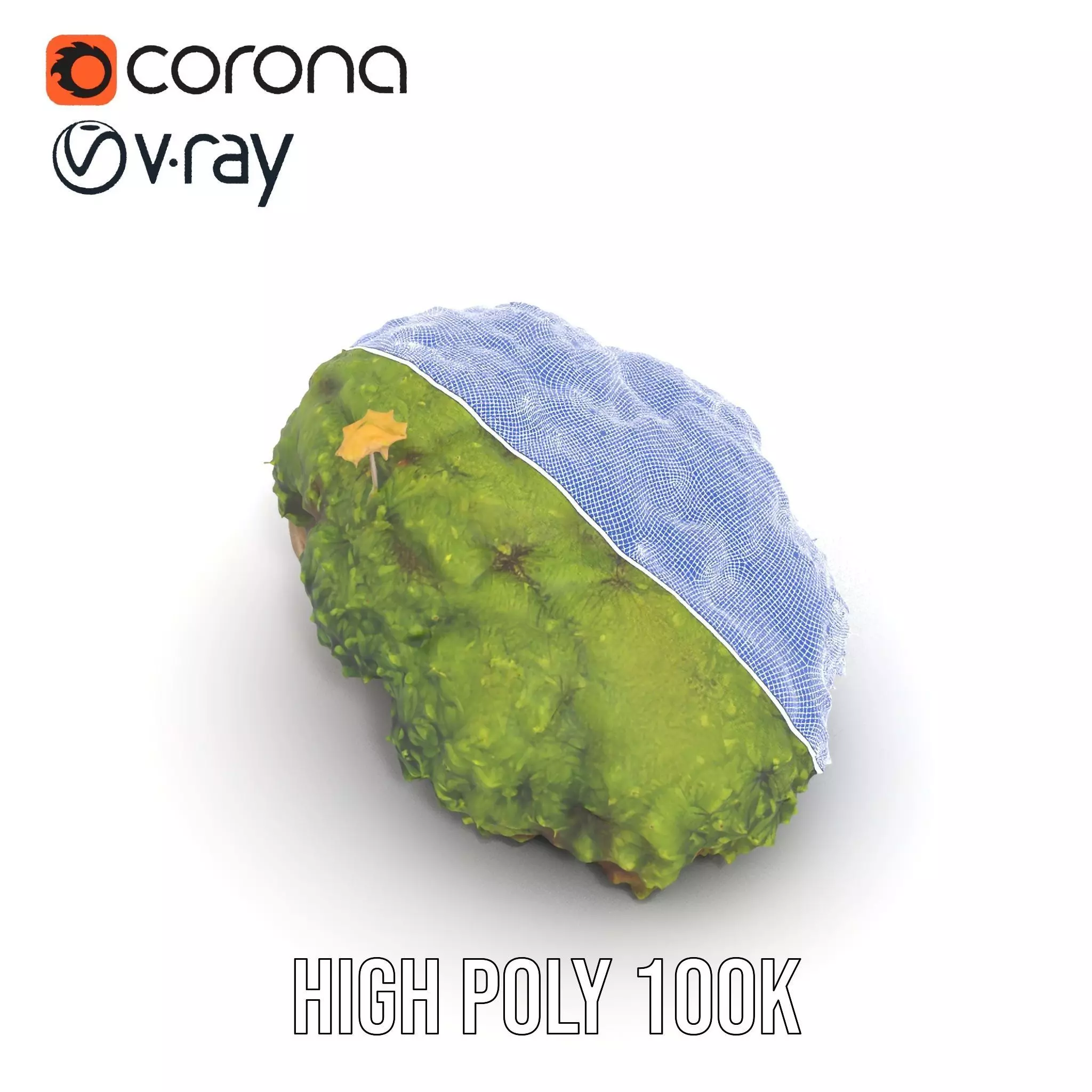 Lush Mossy Rock model pack Texture_33