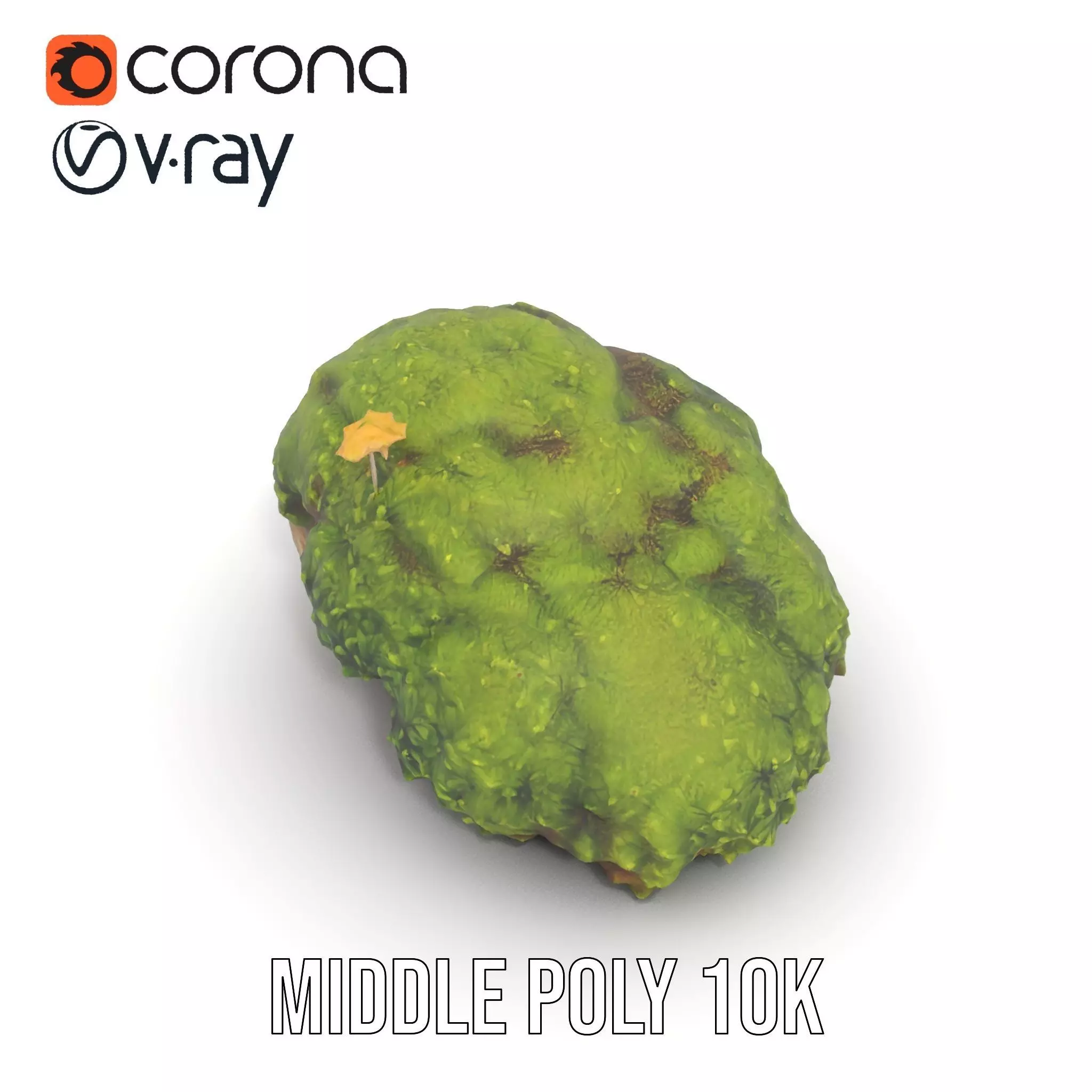 Lush Mossy Rock model pack Texture_10