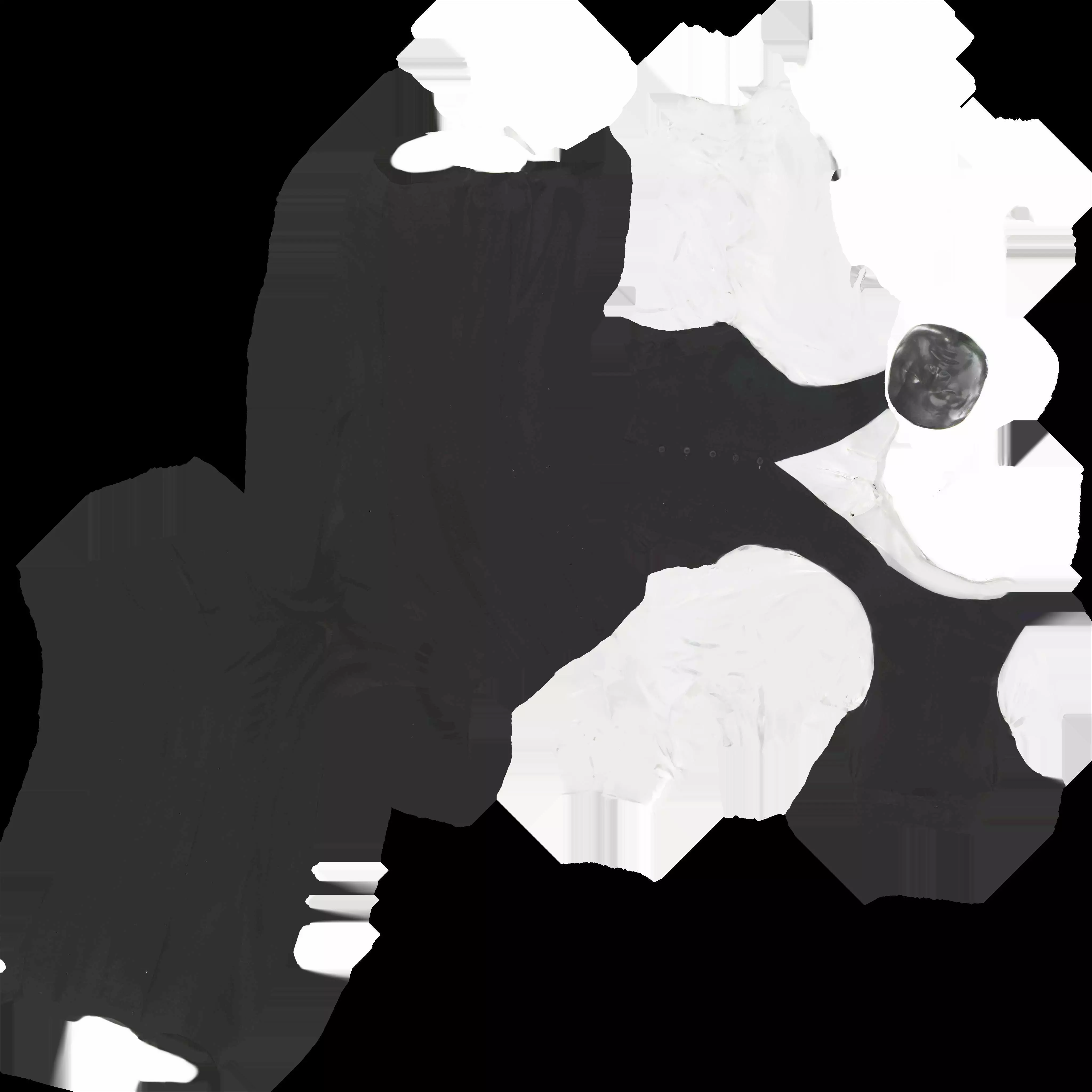 David Bowie black suit costume 3D model_6