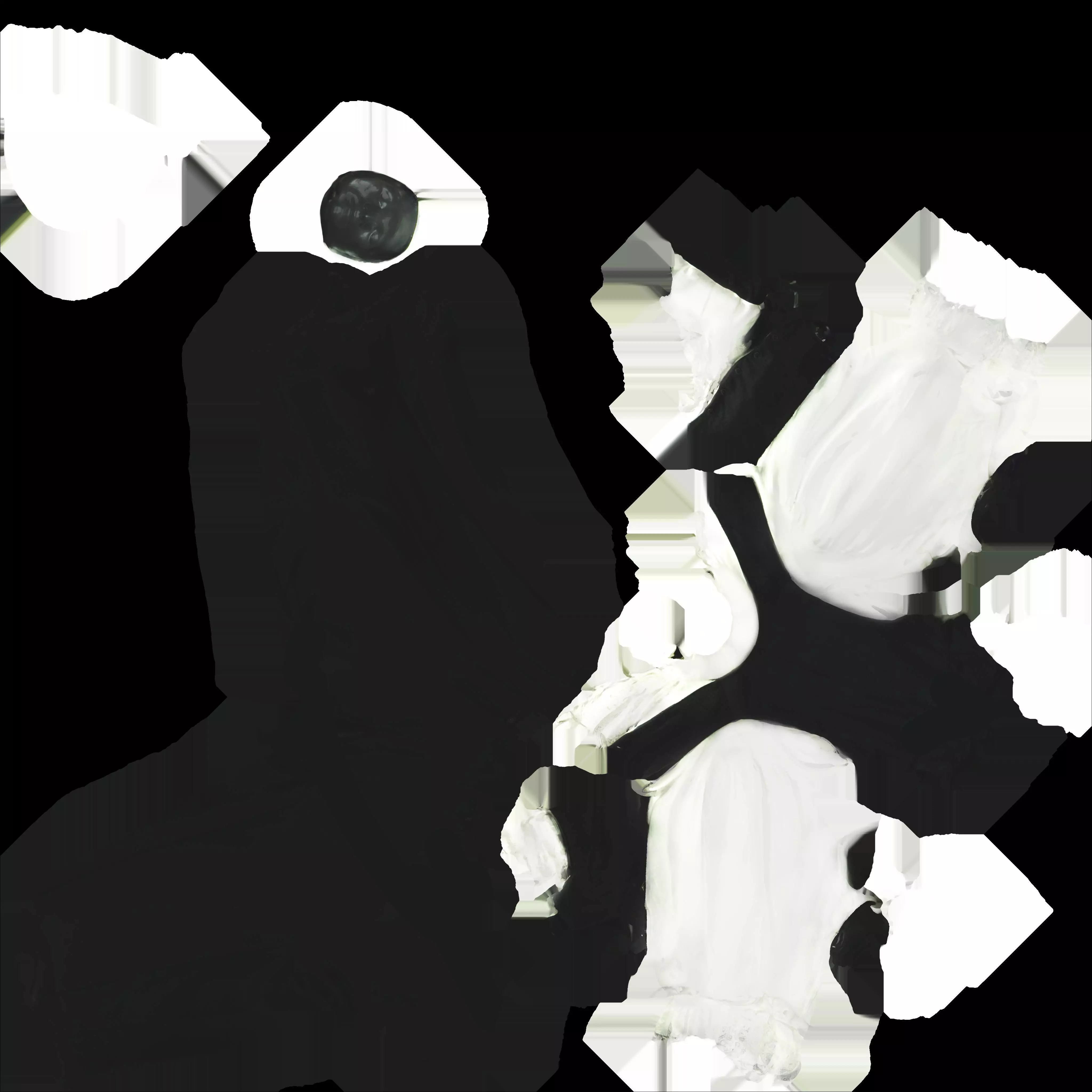 David Bowie ruffle costume 3D model_5