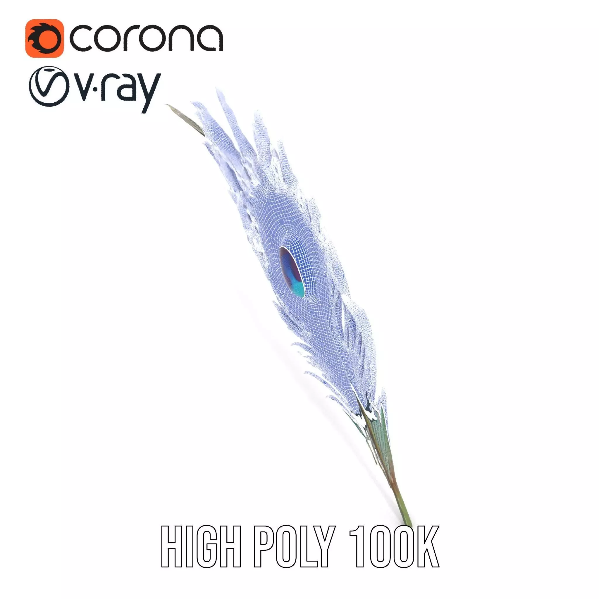 Elegant Peacock Feather model pack Low-poly 3D model_34