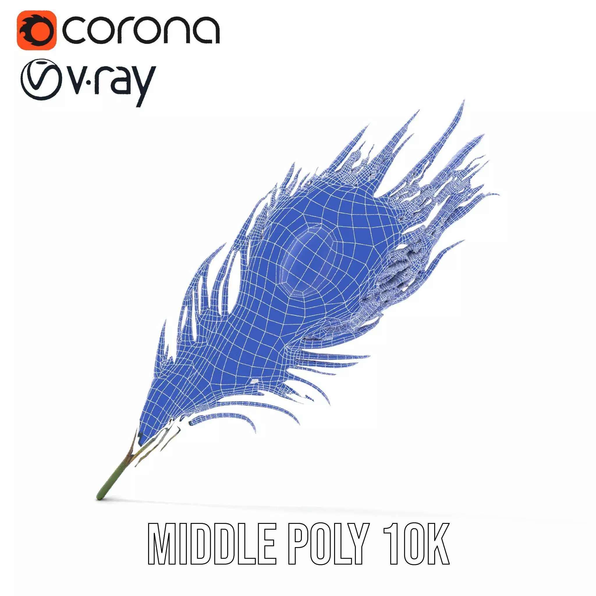 Elegant Peacock Feather model pack Low-poly 3D model_27