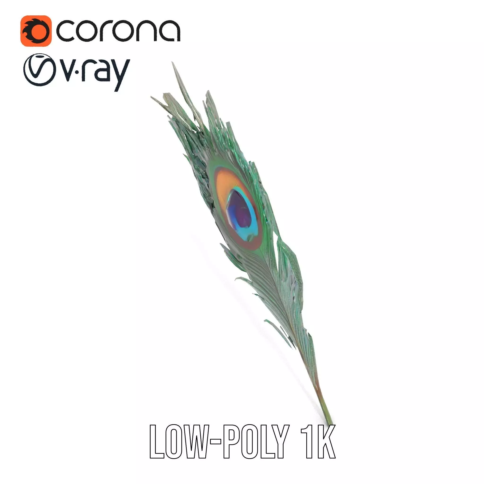 Elegant Peacock Feather model pack Low-poly 3D model_19