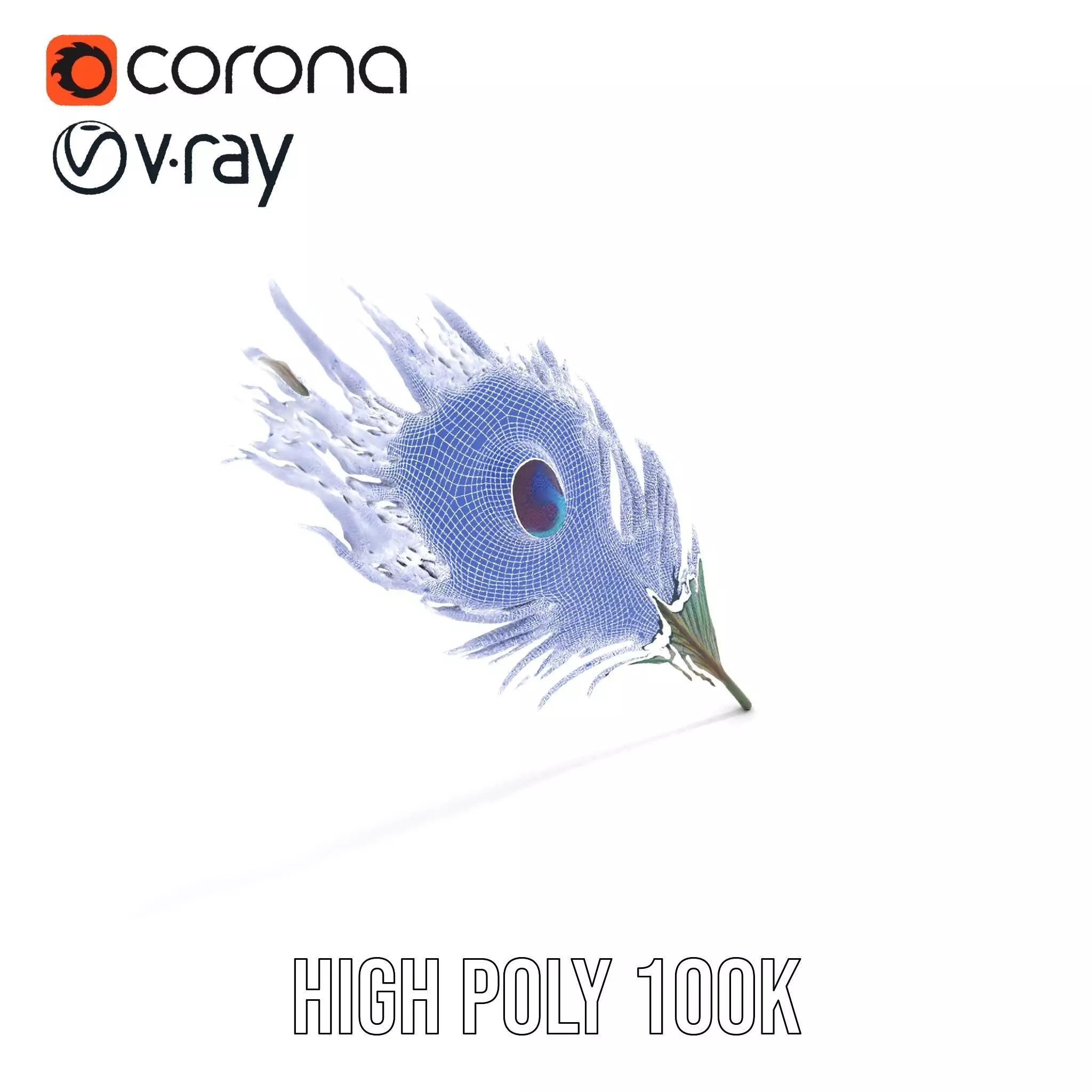 Elegant Peacock Feather model pack Low-poly 3D model_31