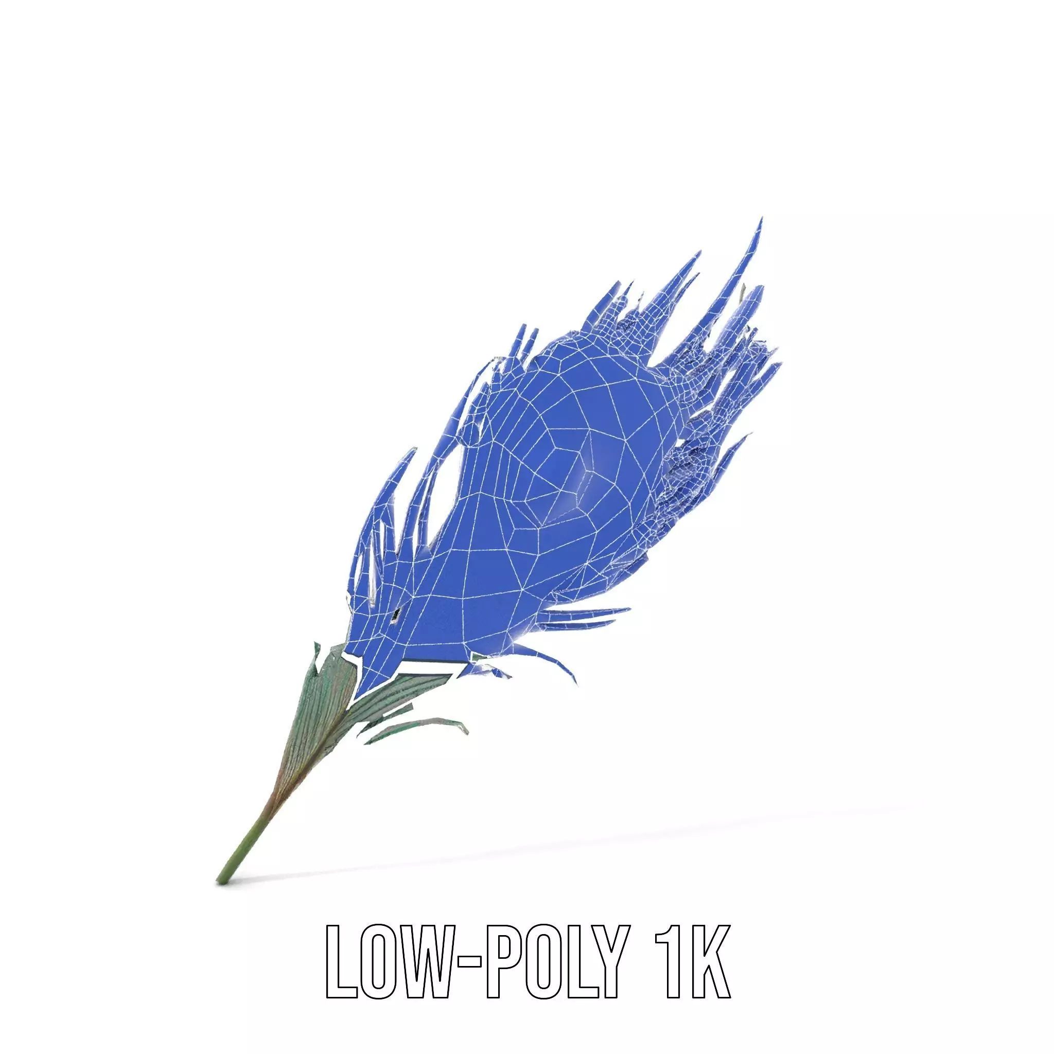 Elegant Peacock Feather model pack Low-poly 3D model_22