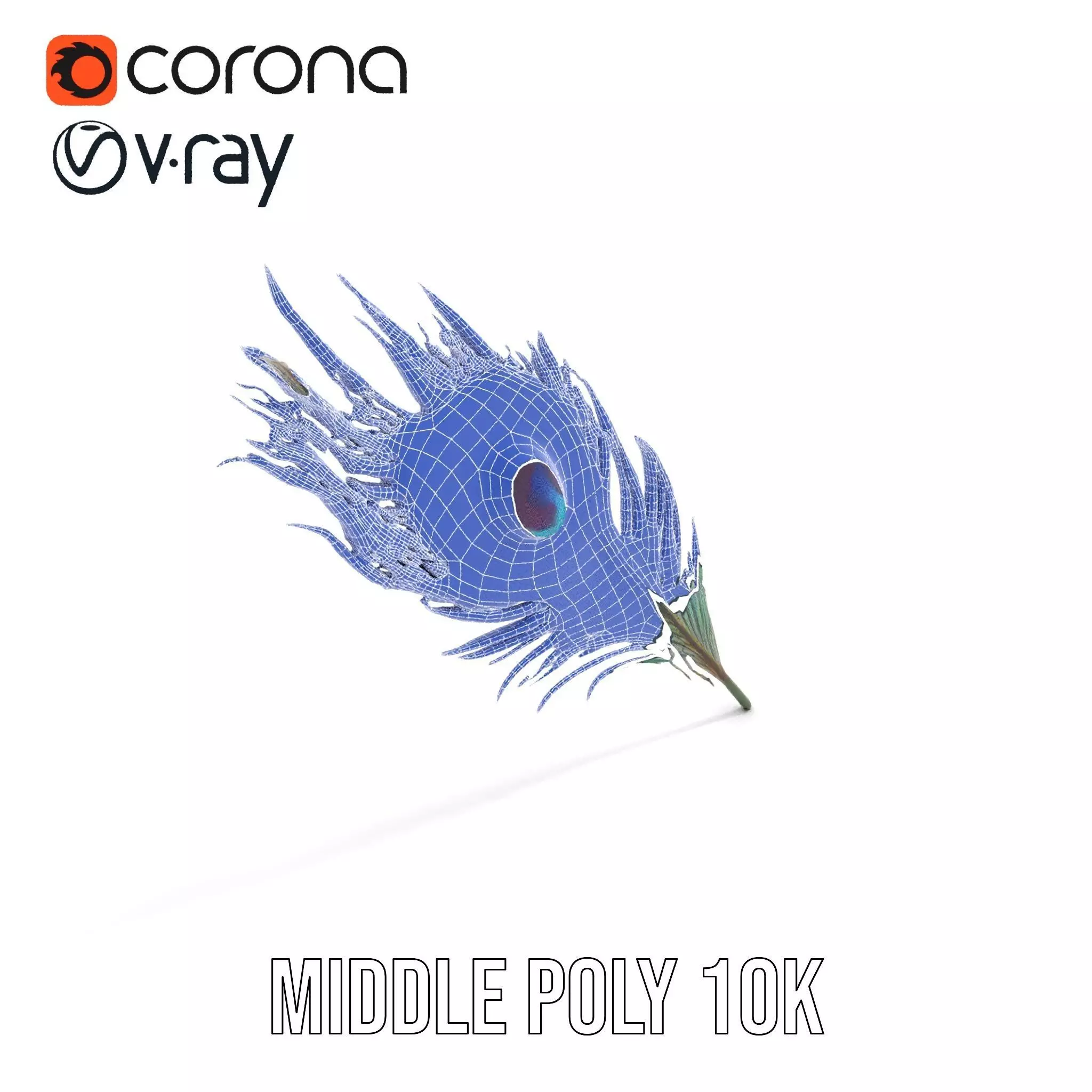 Elegant Peacock Feather model pack Low-poly 3D model_13