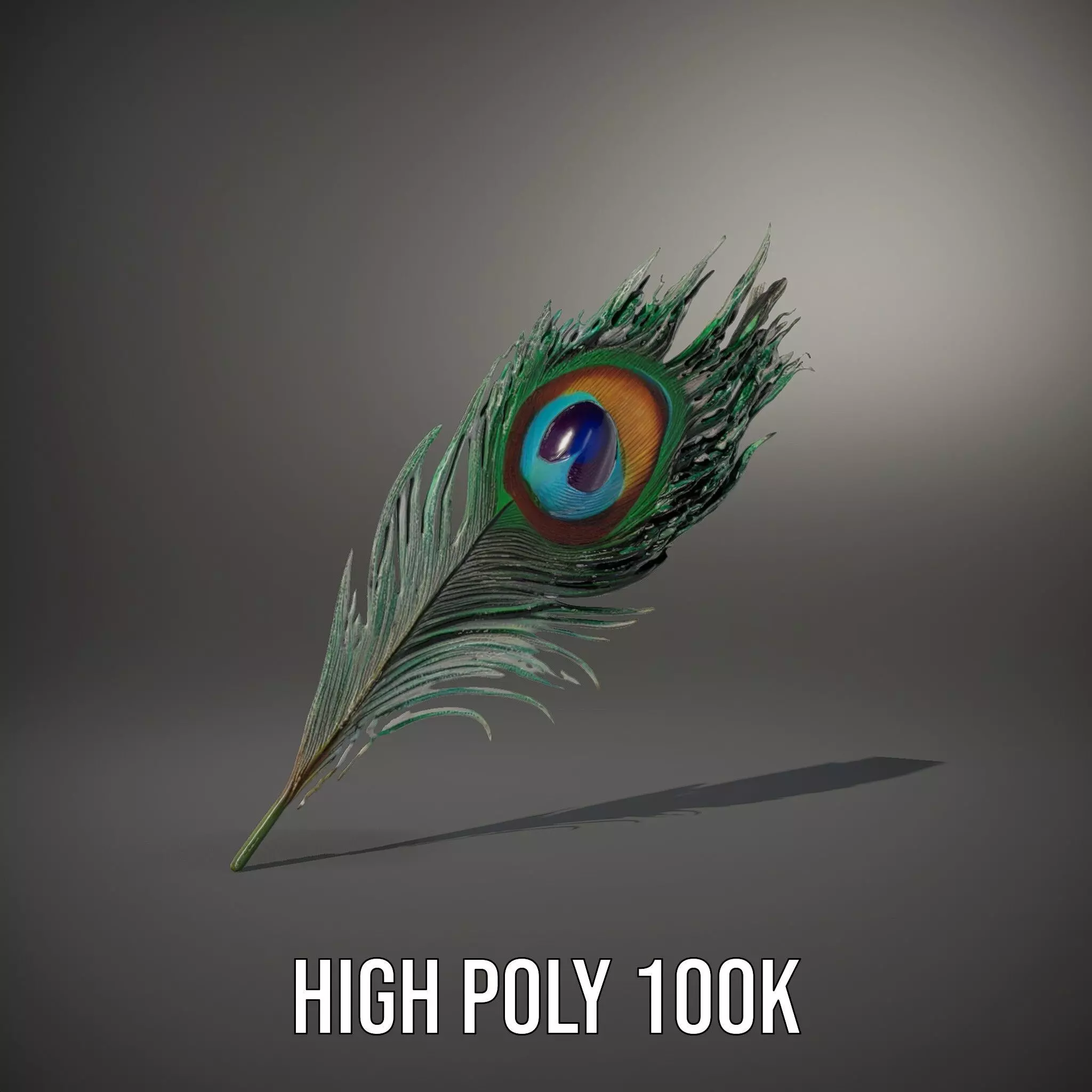 Elegant Peacock Feather model pack Low-poly 3D model_8
