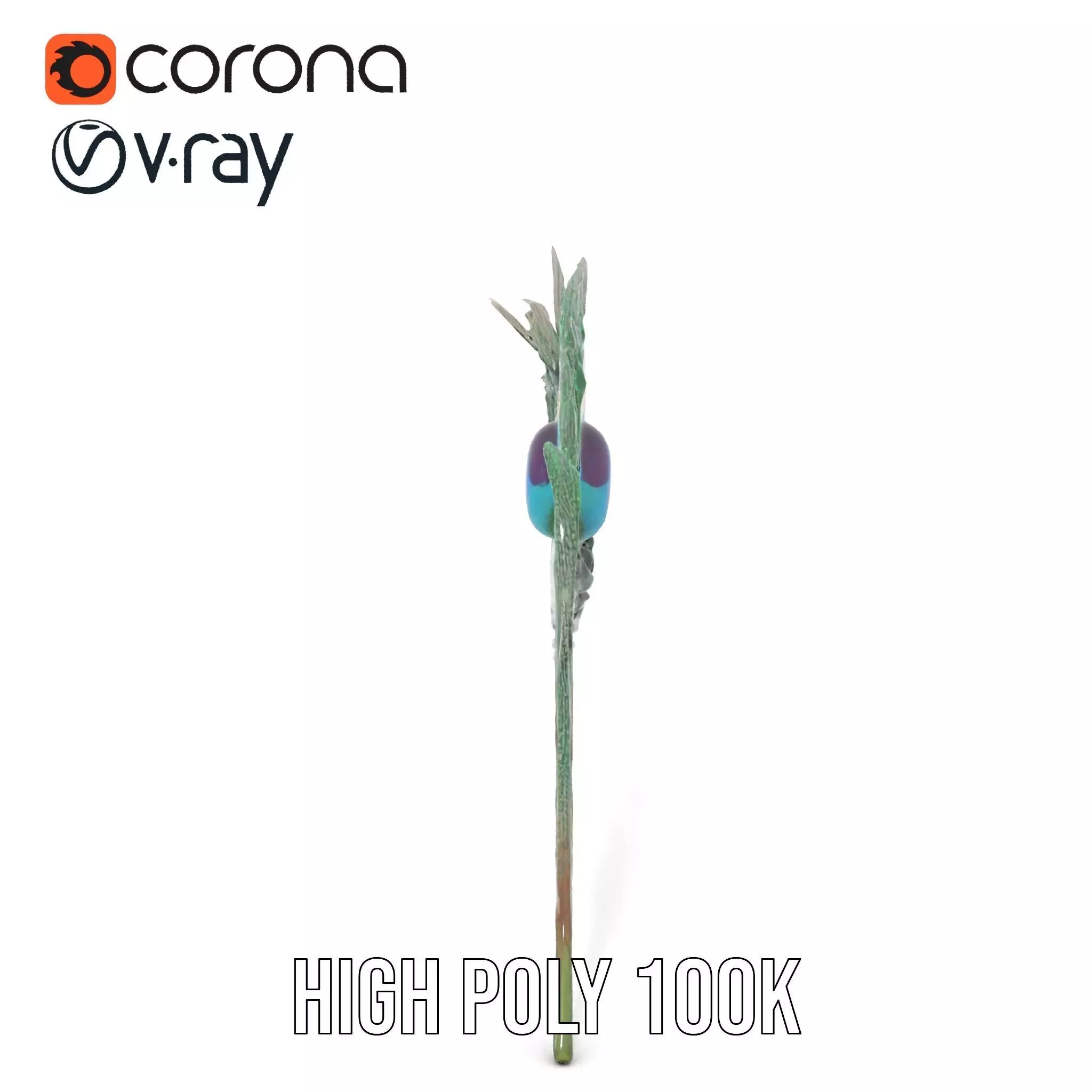 Elegant Peacock Feather model pack Low-poly 3D model_17