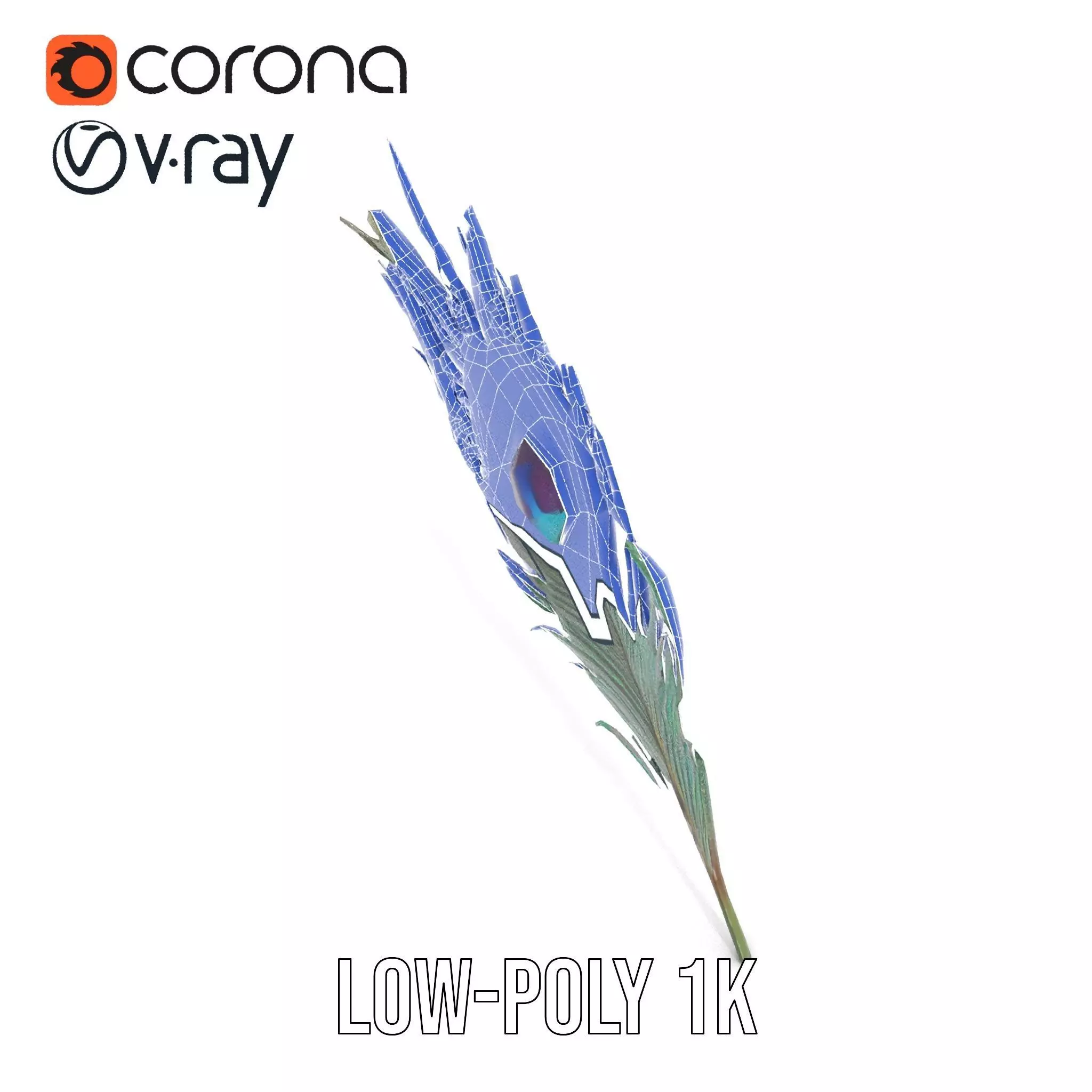 Elegant Peacock Feather model pack Low-poly 3D model_28