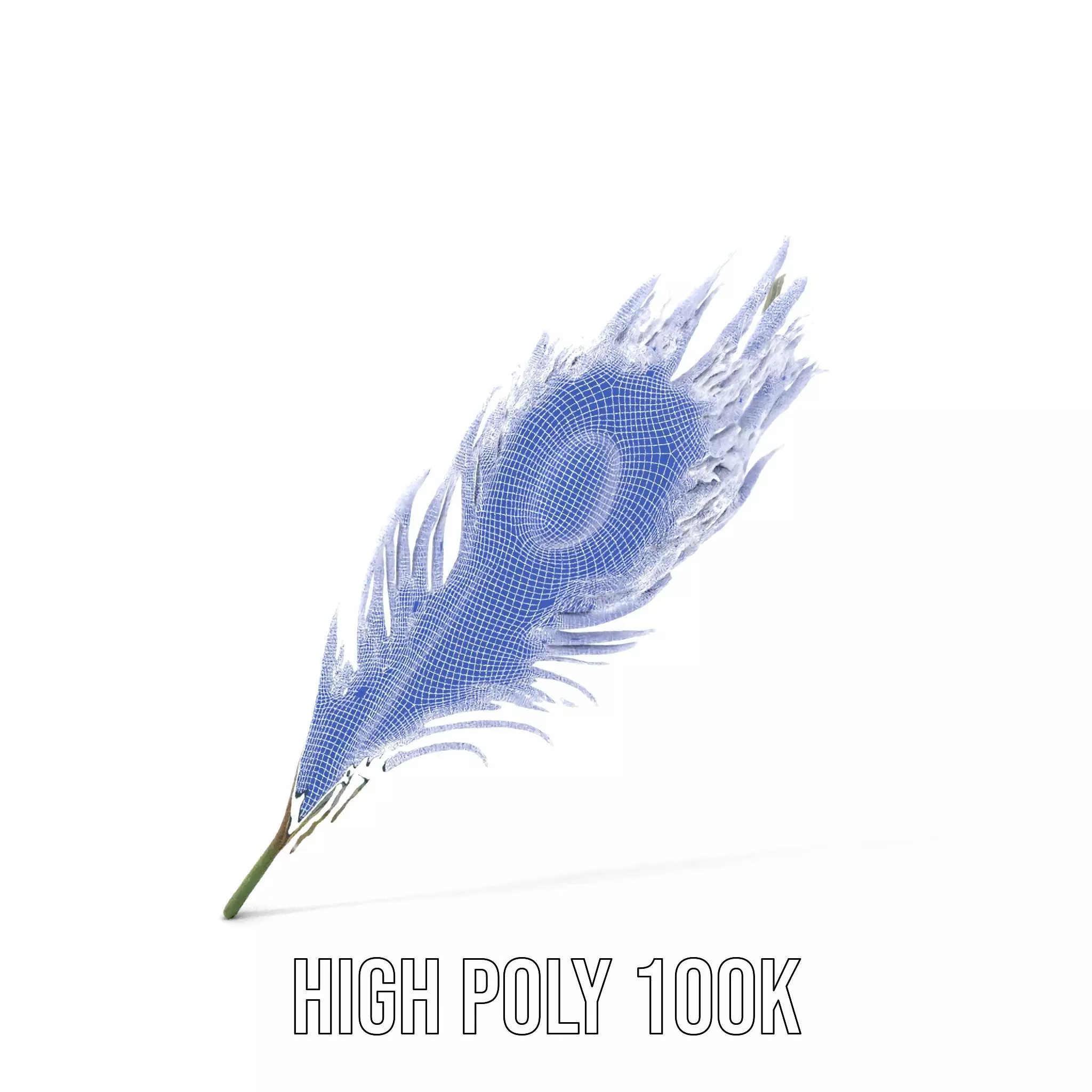 Elegant Peacock Feather model pack Low-poly 3D model_4