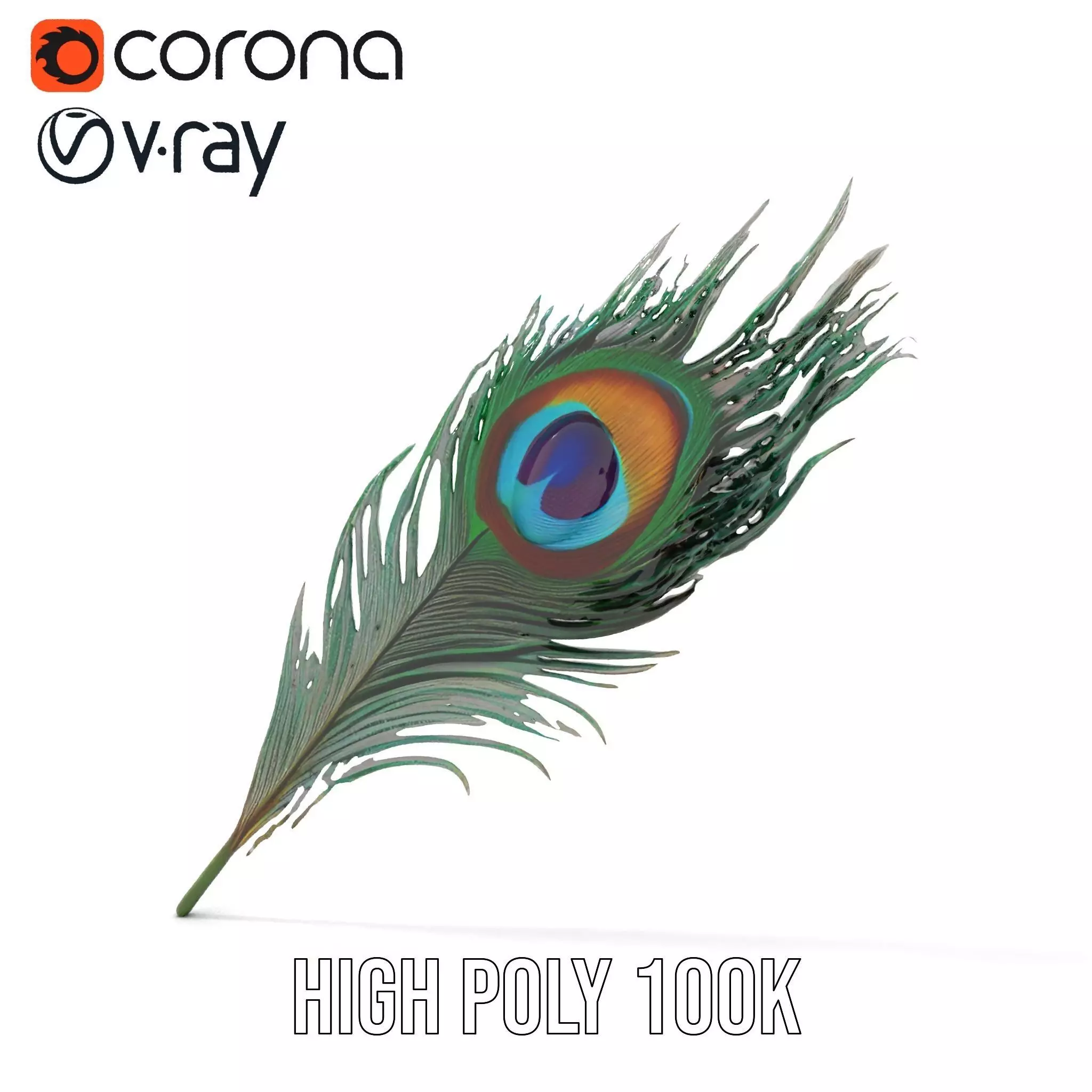 Elegant Peacock Feather model pack Low-poly 3D model_26