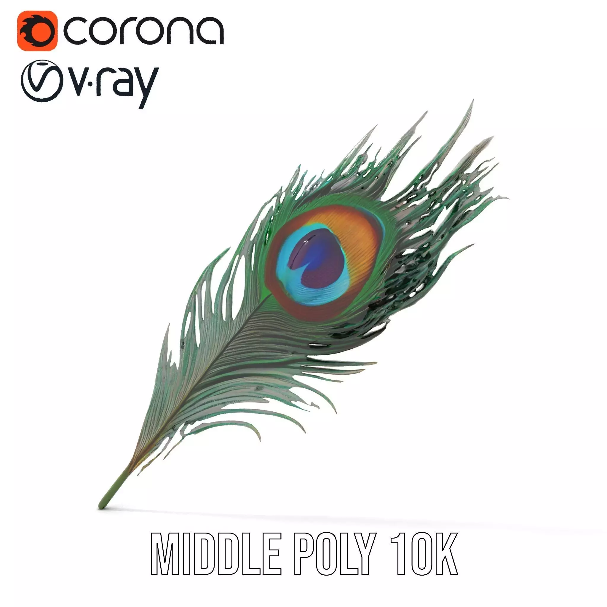 Elegant Peacock Feather model pack Low-poly 3D model_11