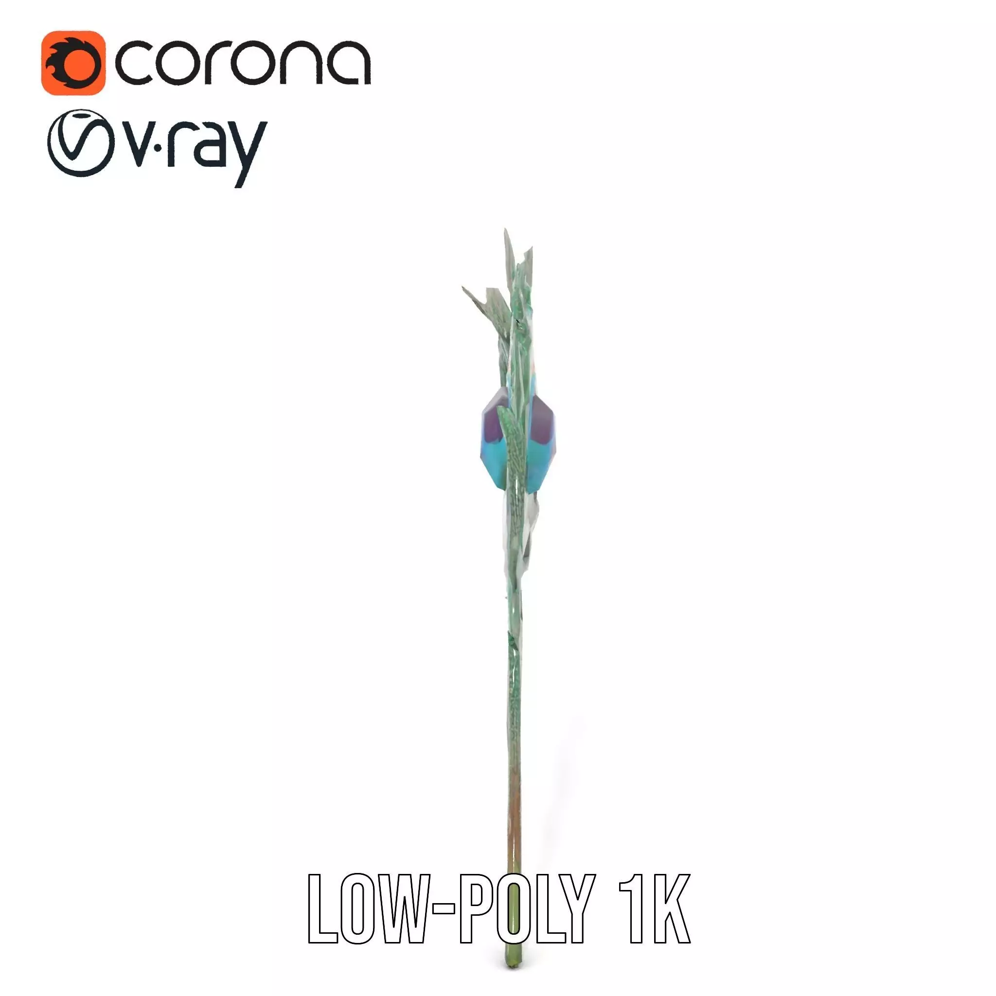 Elegant Peacock Feather model pack Low-poly 3D model_7