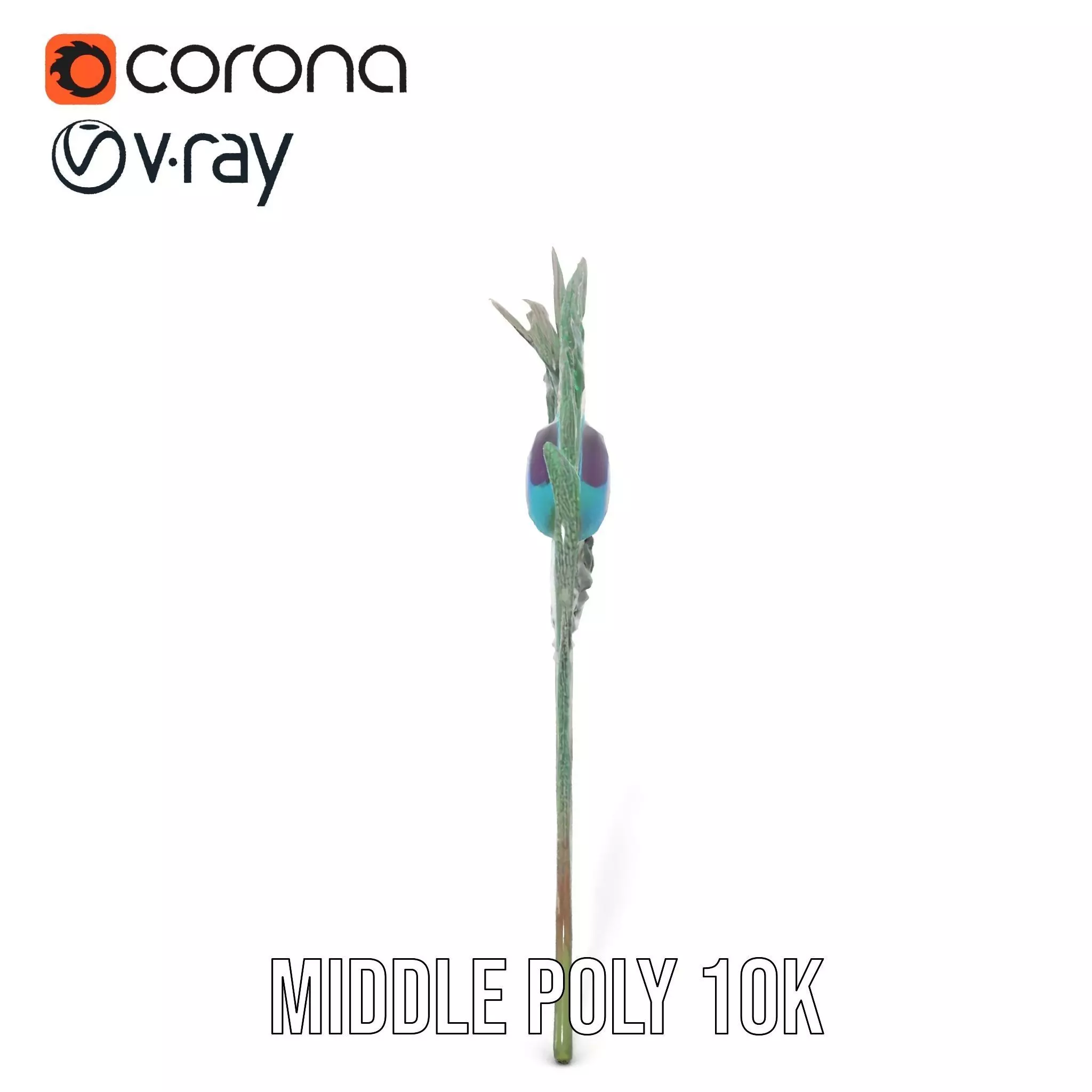 Elegant Peacock Feather model pack Low-poly 3D model_15