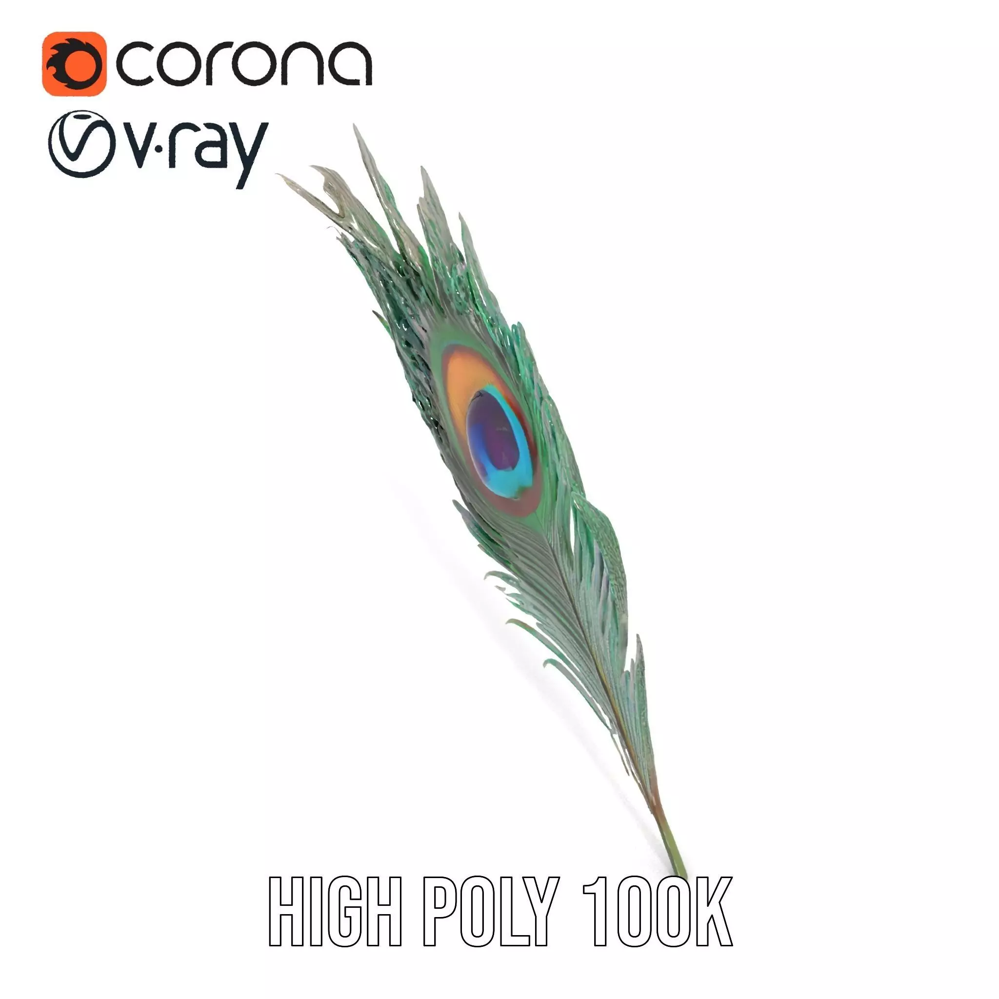Elegant Peacock Feather model pack Low-poly 3D model_20