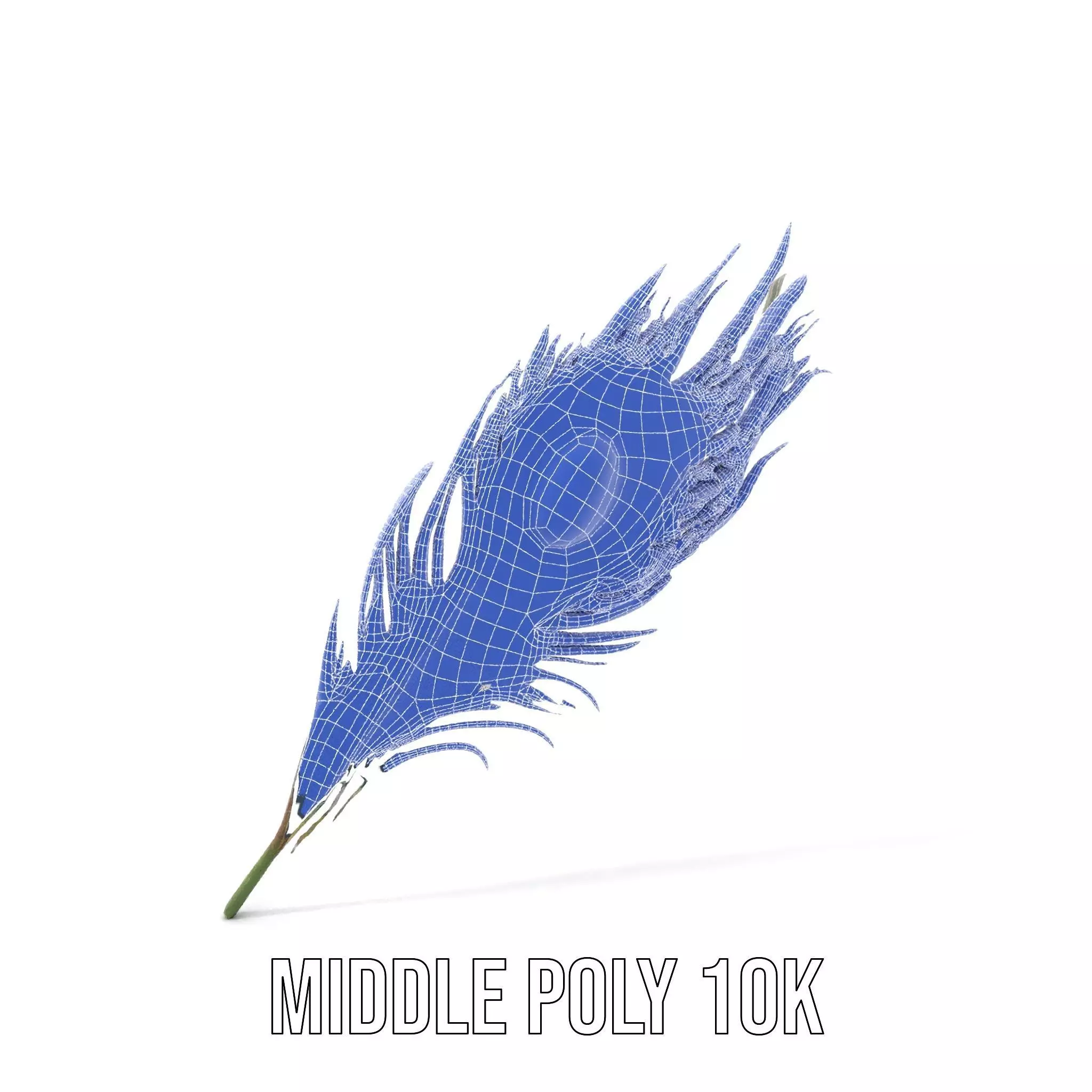 Elegant Peacock Feather model pack Low-poly 3D model_21