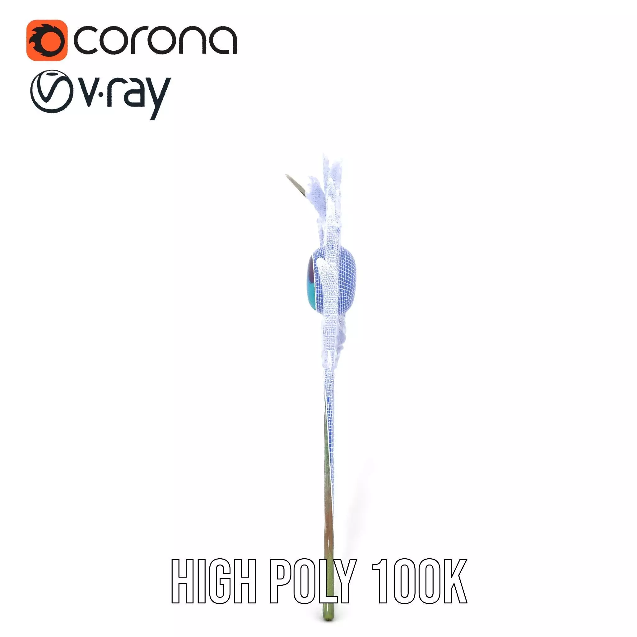 Elegant Peacock Feather model pack Low-poly 3D model_33