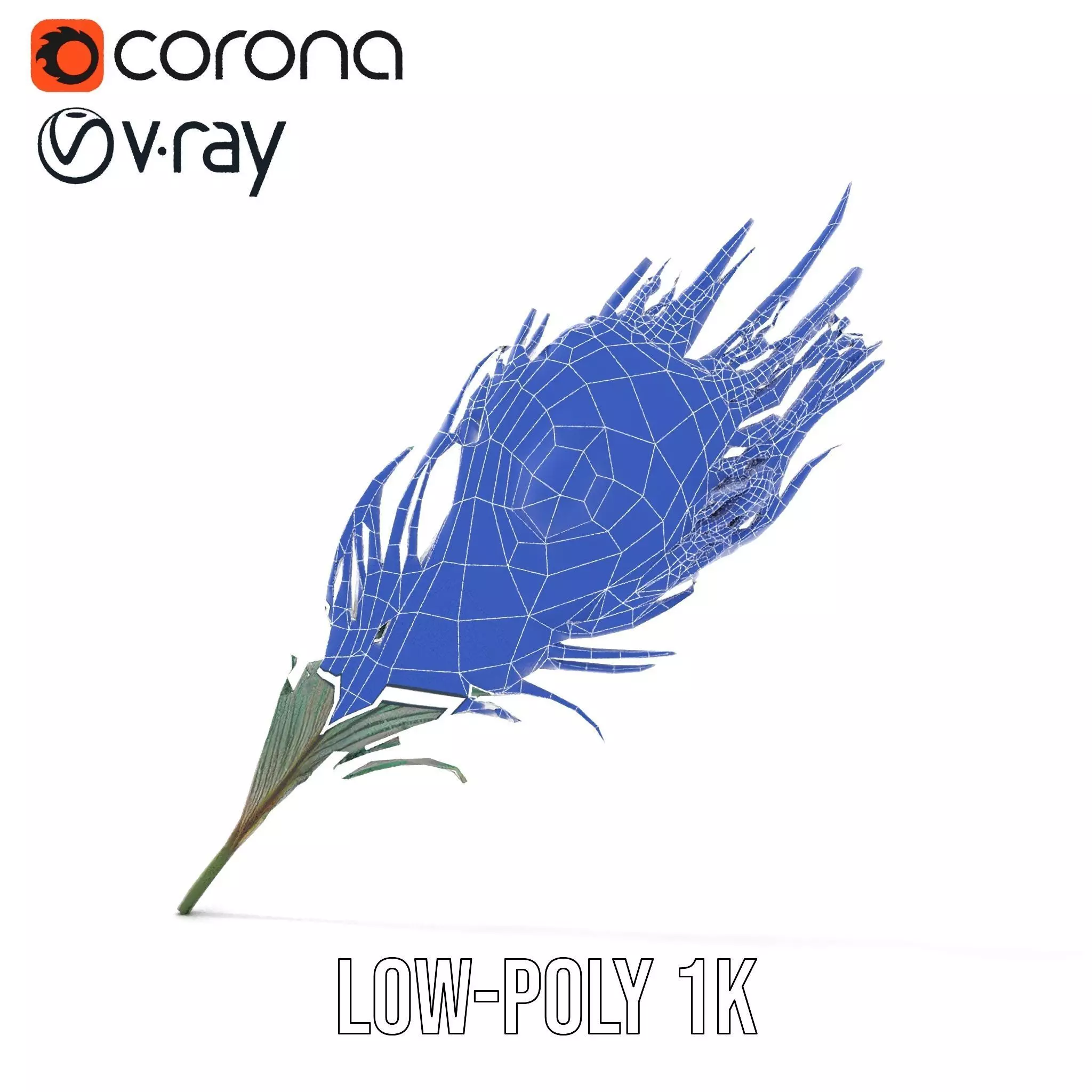 Elegant Peacock Feather model pack Low-poly 3D model_14