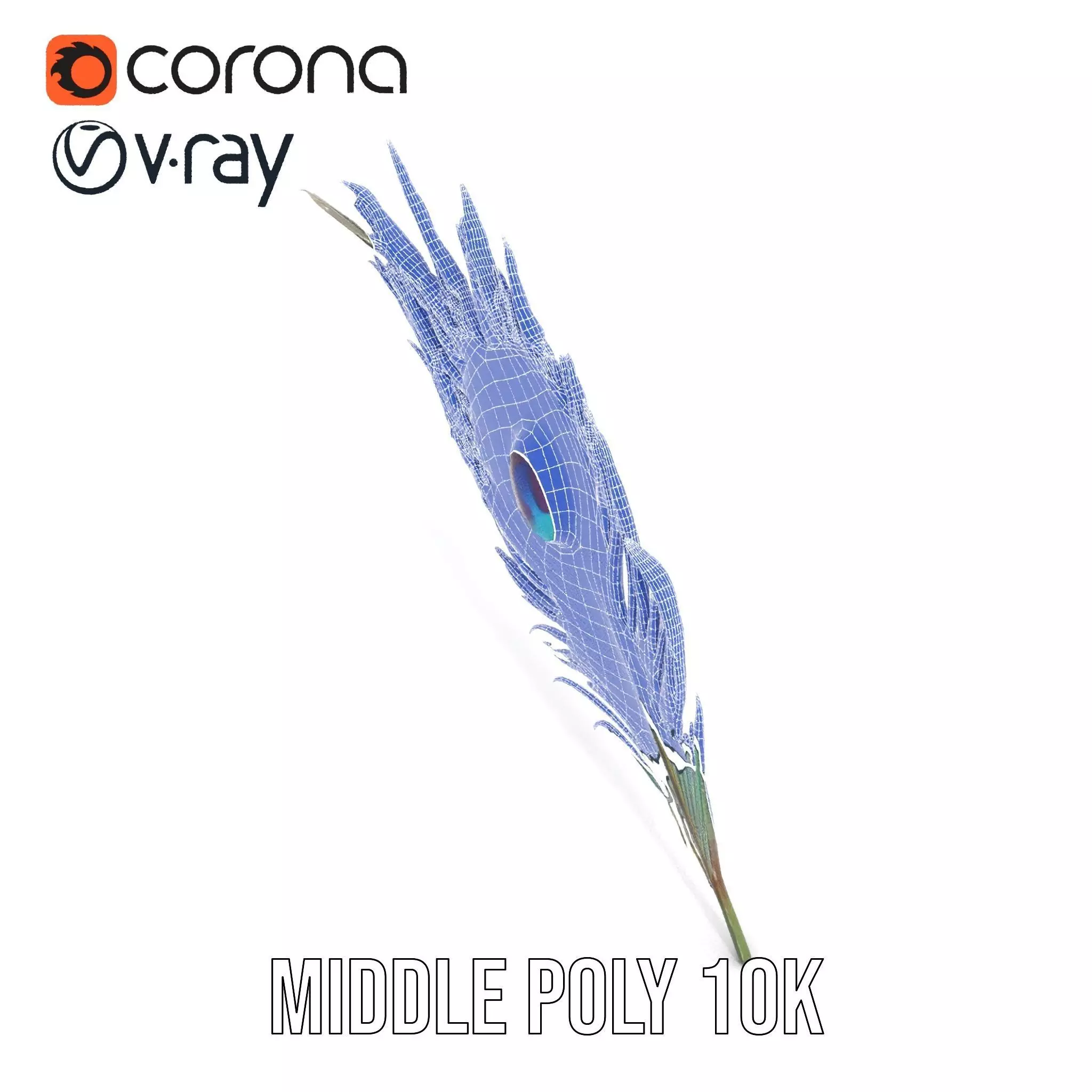 Elegant Peacock Feather model pack Low-poly 3D model_18