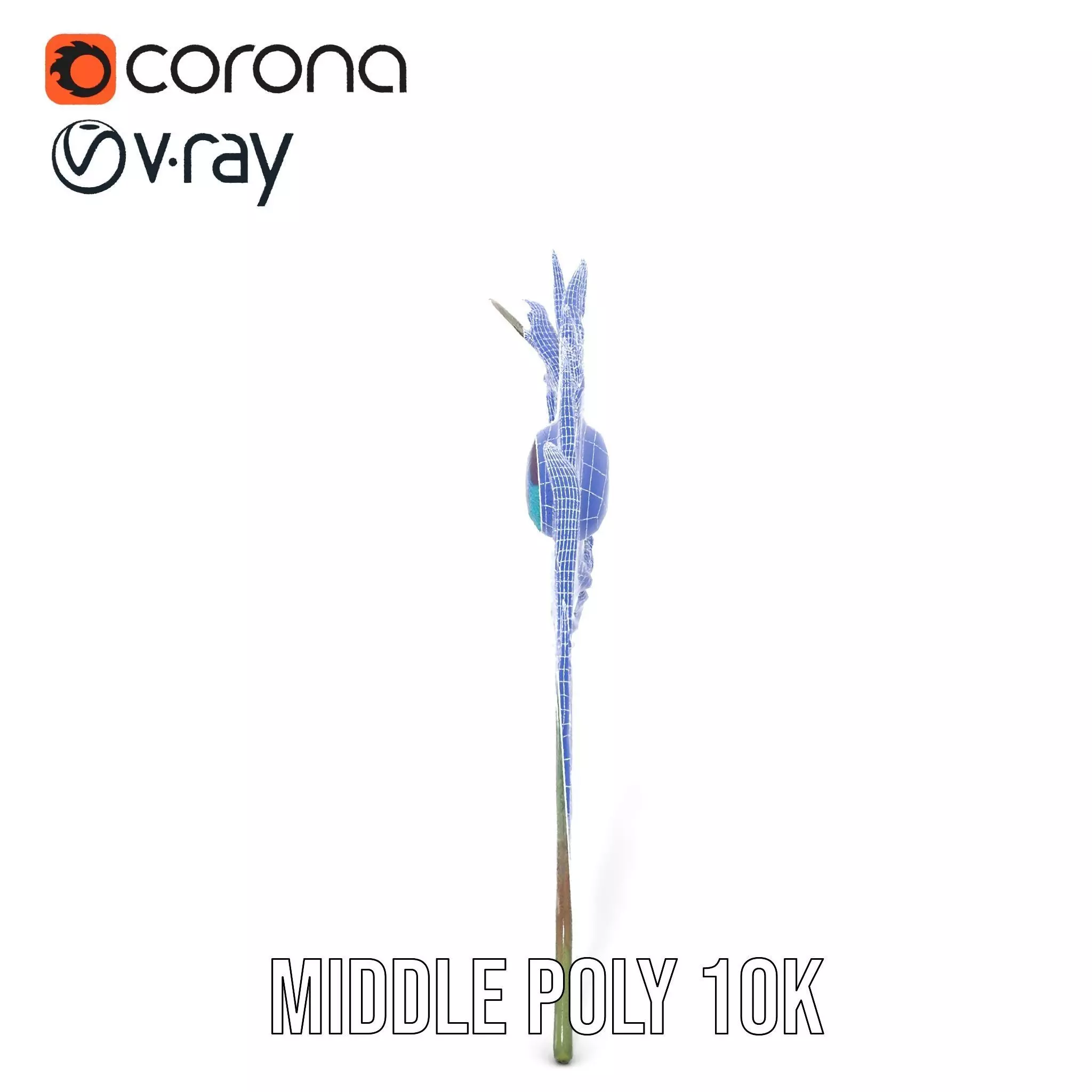 Elegant Peacock Feather model pack Low-poly 3D model_29