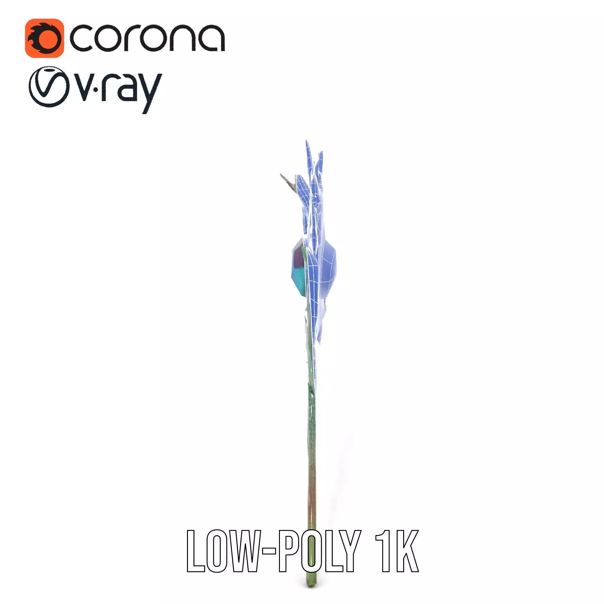 Elegant Peacock Feather model pack Low-poly 3D model_30