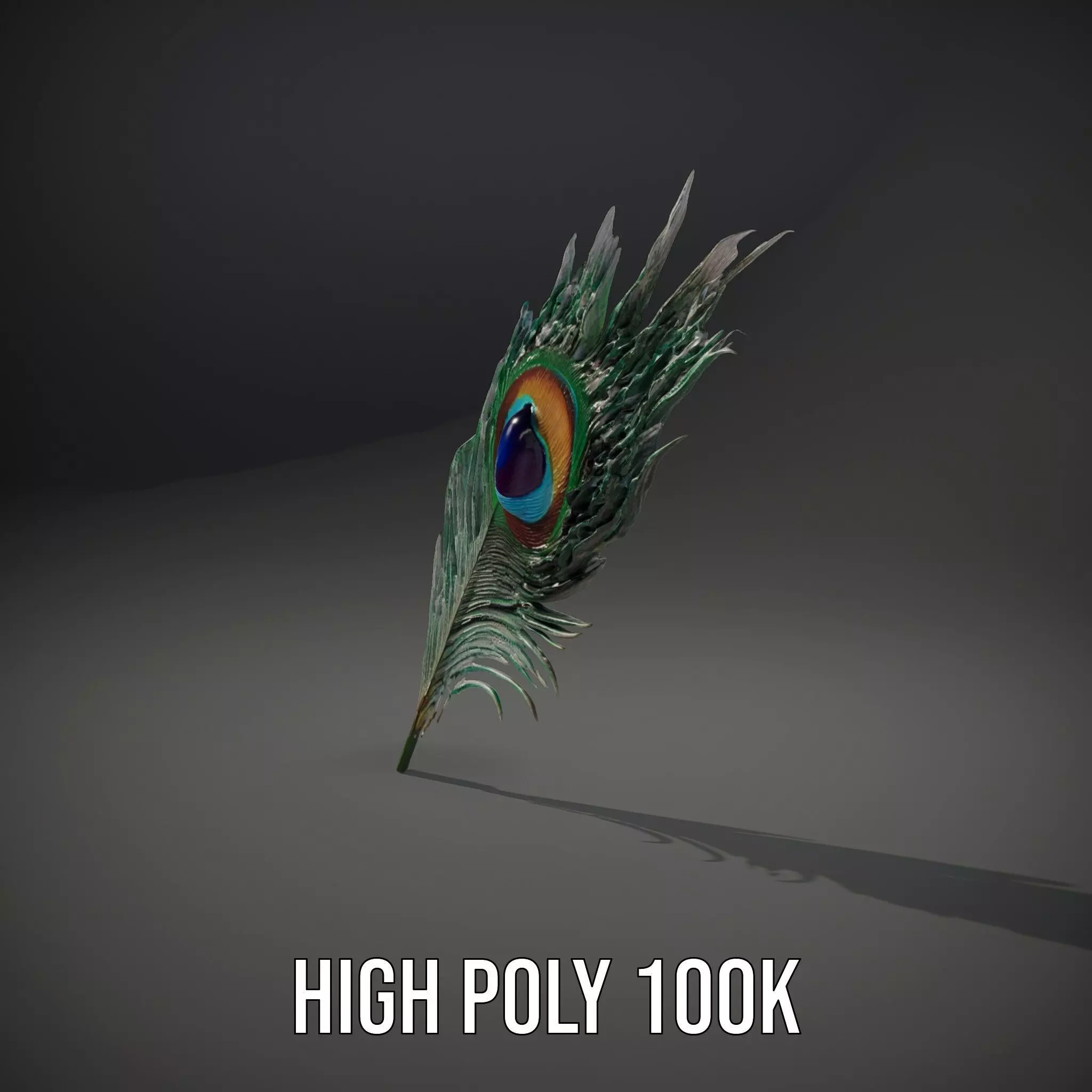 Elegant Peacock Feather model pack Low-poly 3D model_10