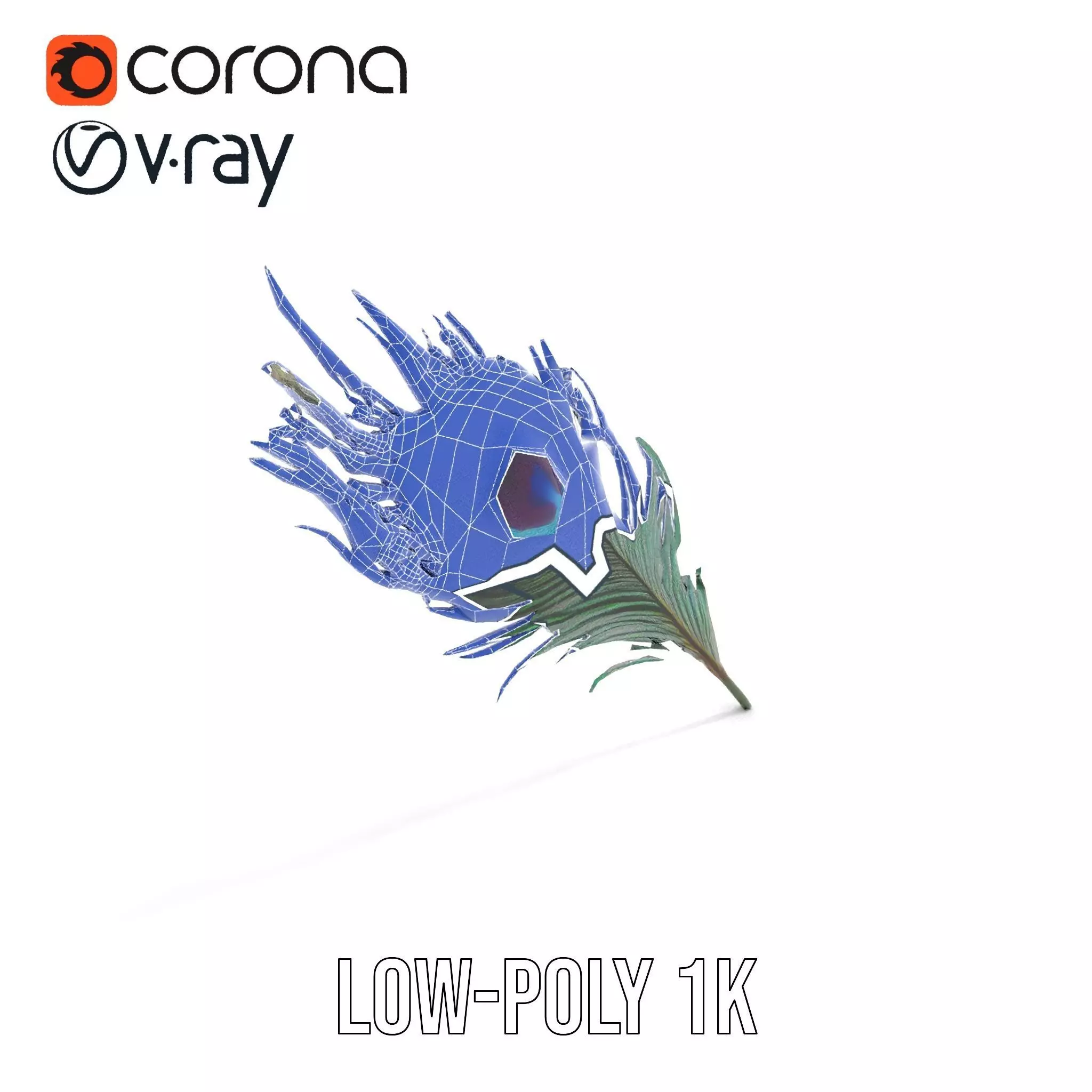 Elegant Peacock Feather model pack Low-poly 3D model_25