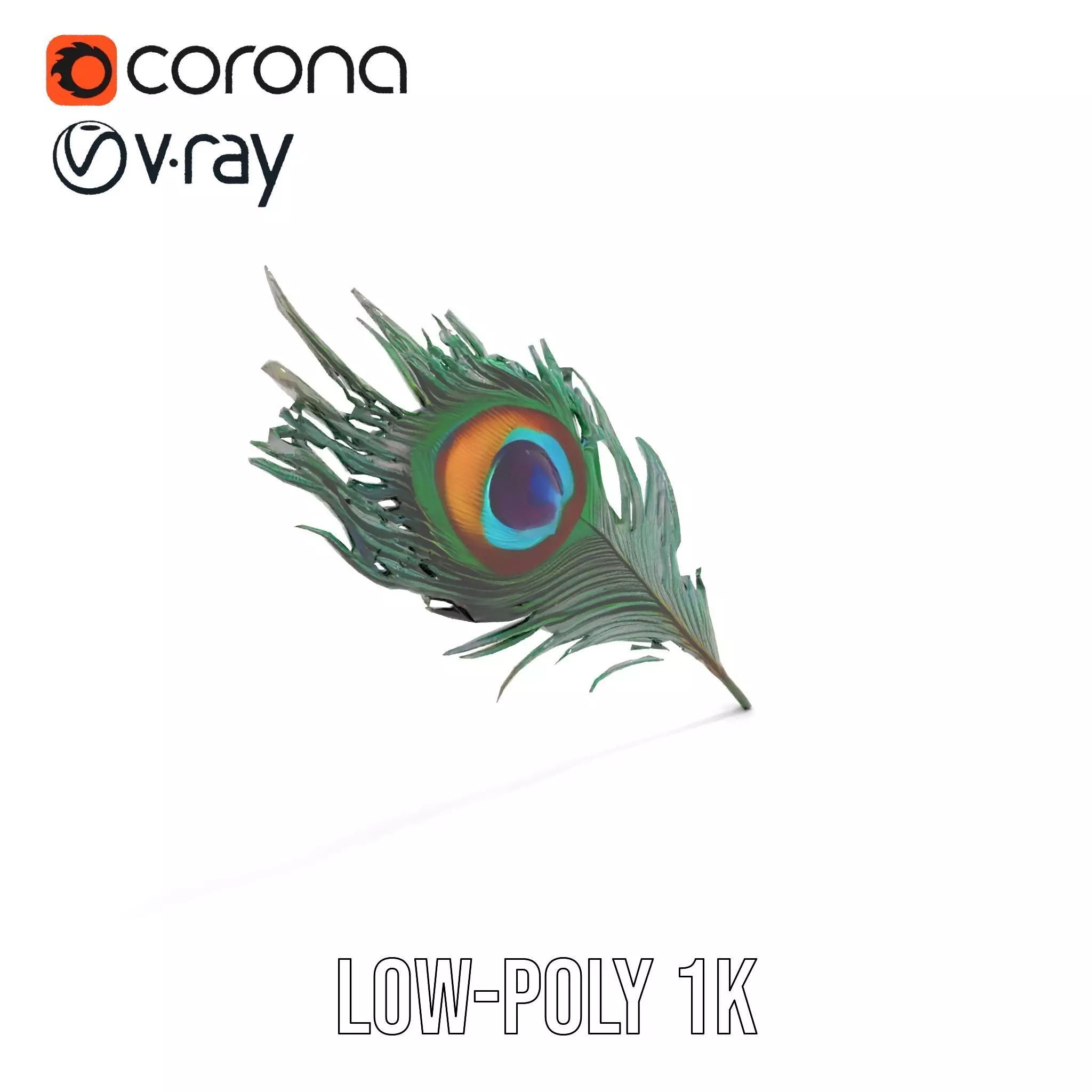 Elegant Peacock Feather model pack Low-poly 3D model_12