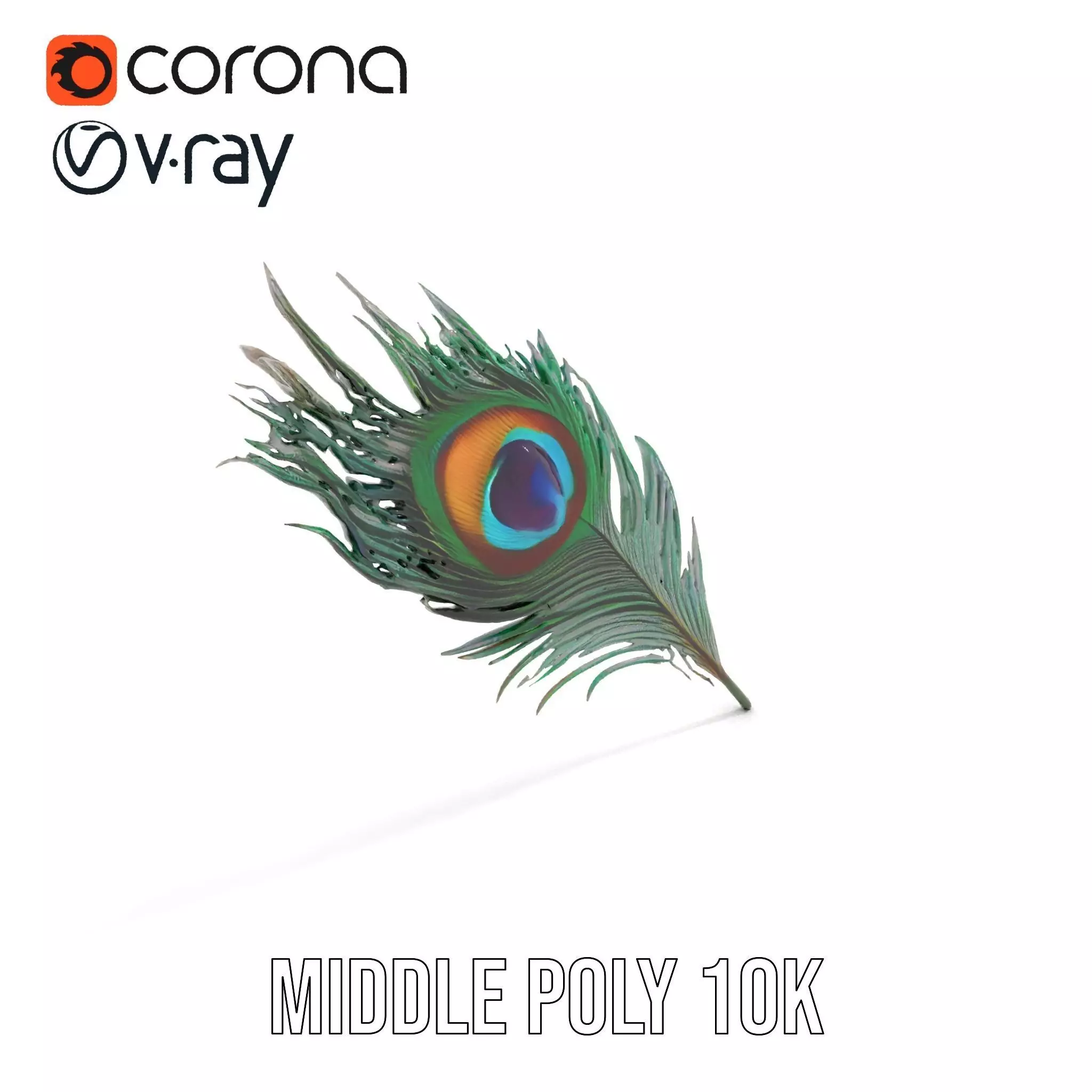 Elegant Peacock Feather model pack Low-poly 3D model_5