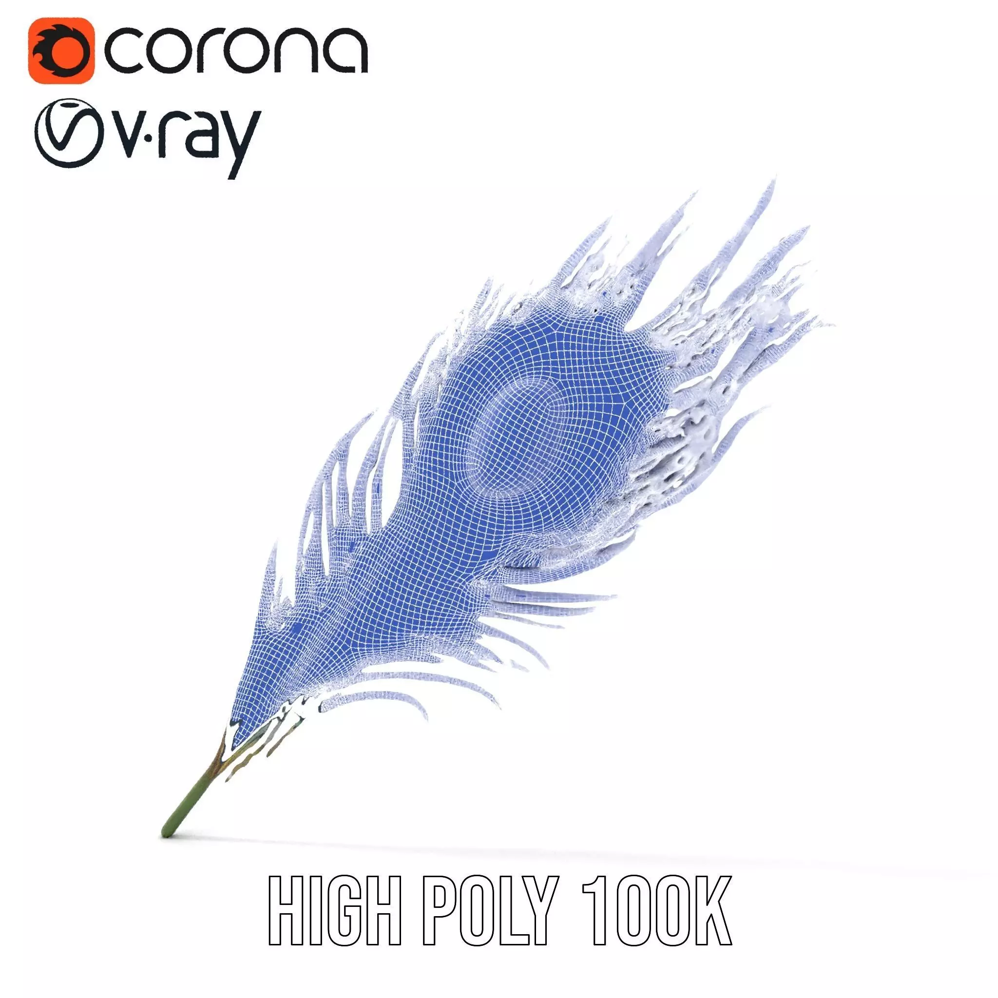 Elegant Peacock Feather model pack Low-poly 3D model_32