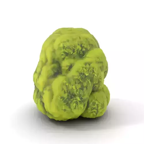 Green Mossy Texture model pack Texture